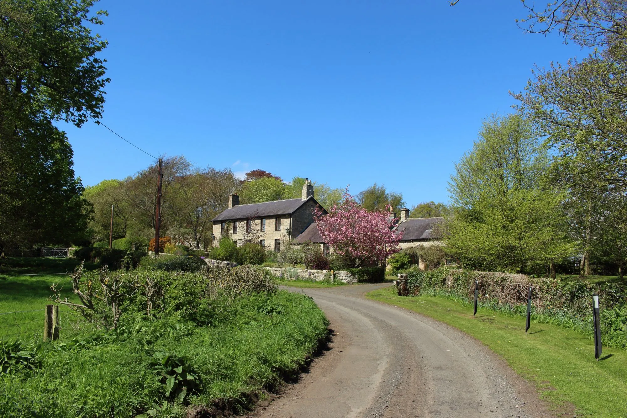 Photo showing: Bend in the road through Eachwick