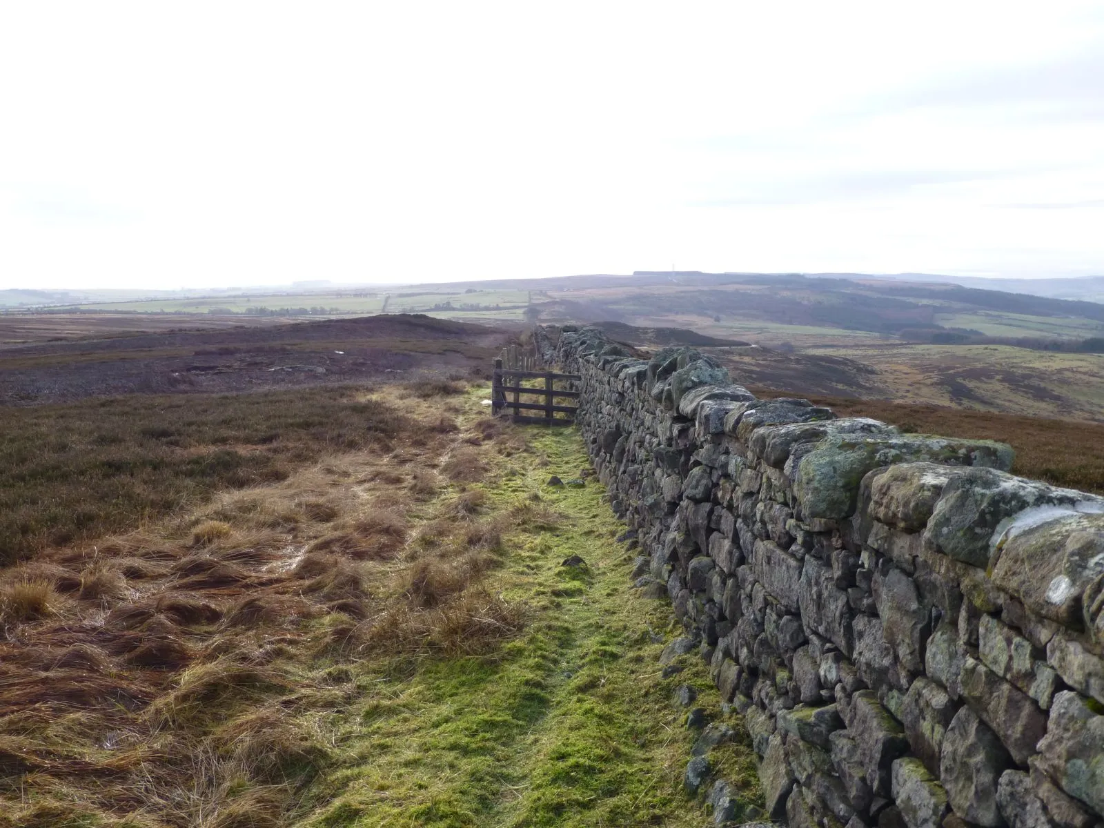 Photo showing: Dry stone wall going down Cloudy Crags