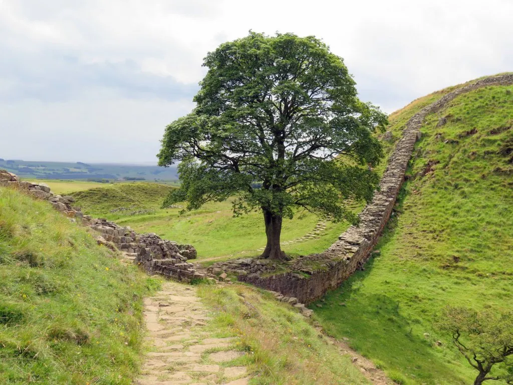 Photo showing: Hadrian's Wall at Sycamore Gap