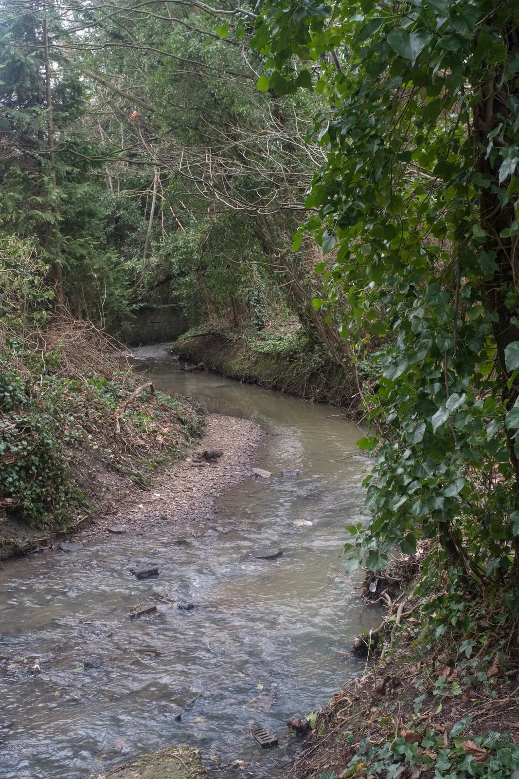 Photo showing: Dollis Brook, near Woodside Park