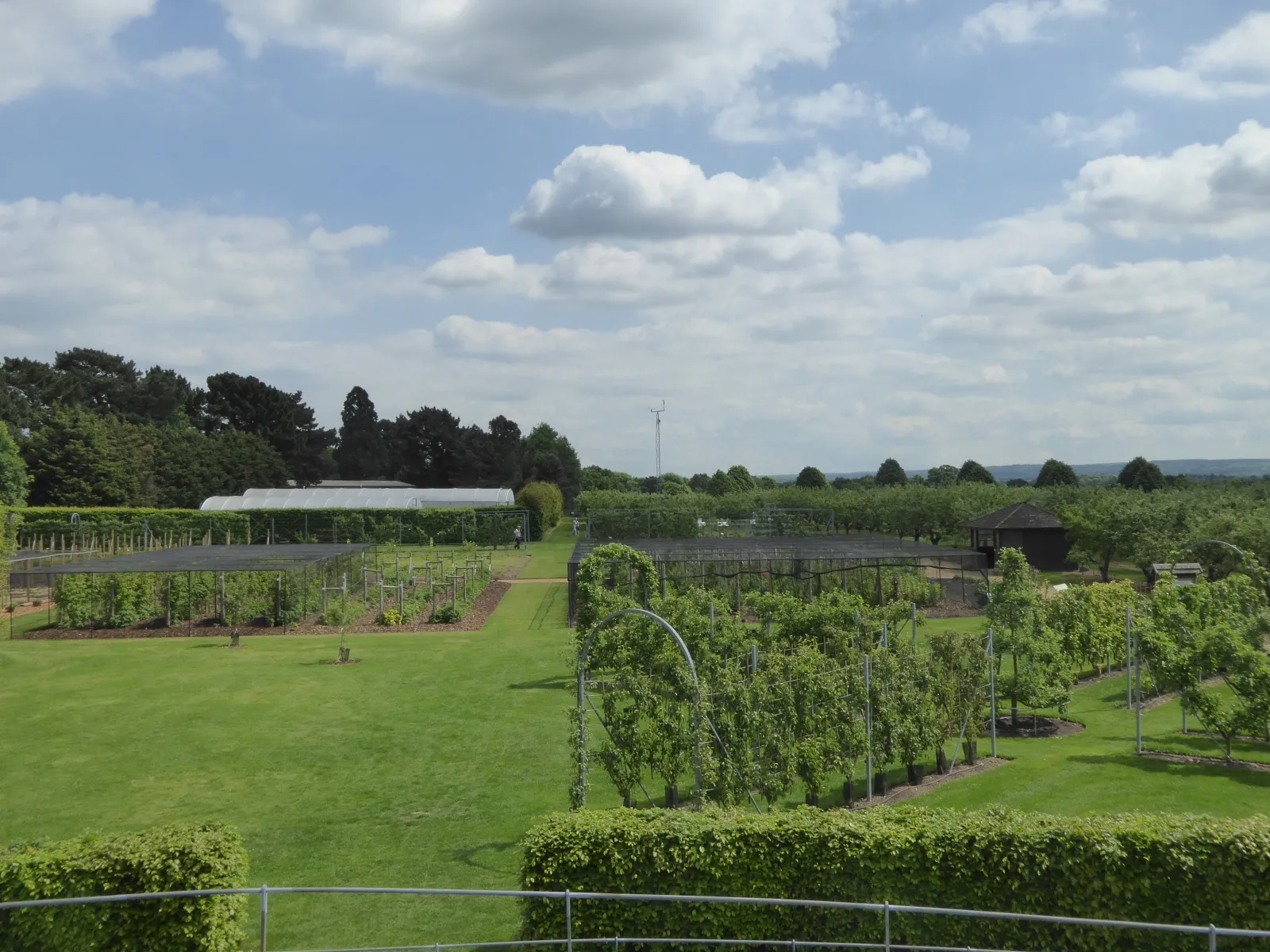 Photo showing: The Orchard, RHS Wisley