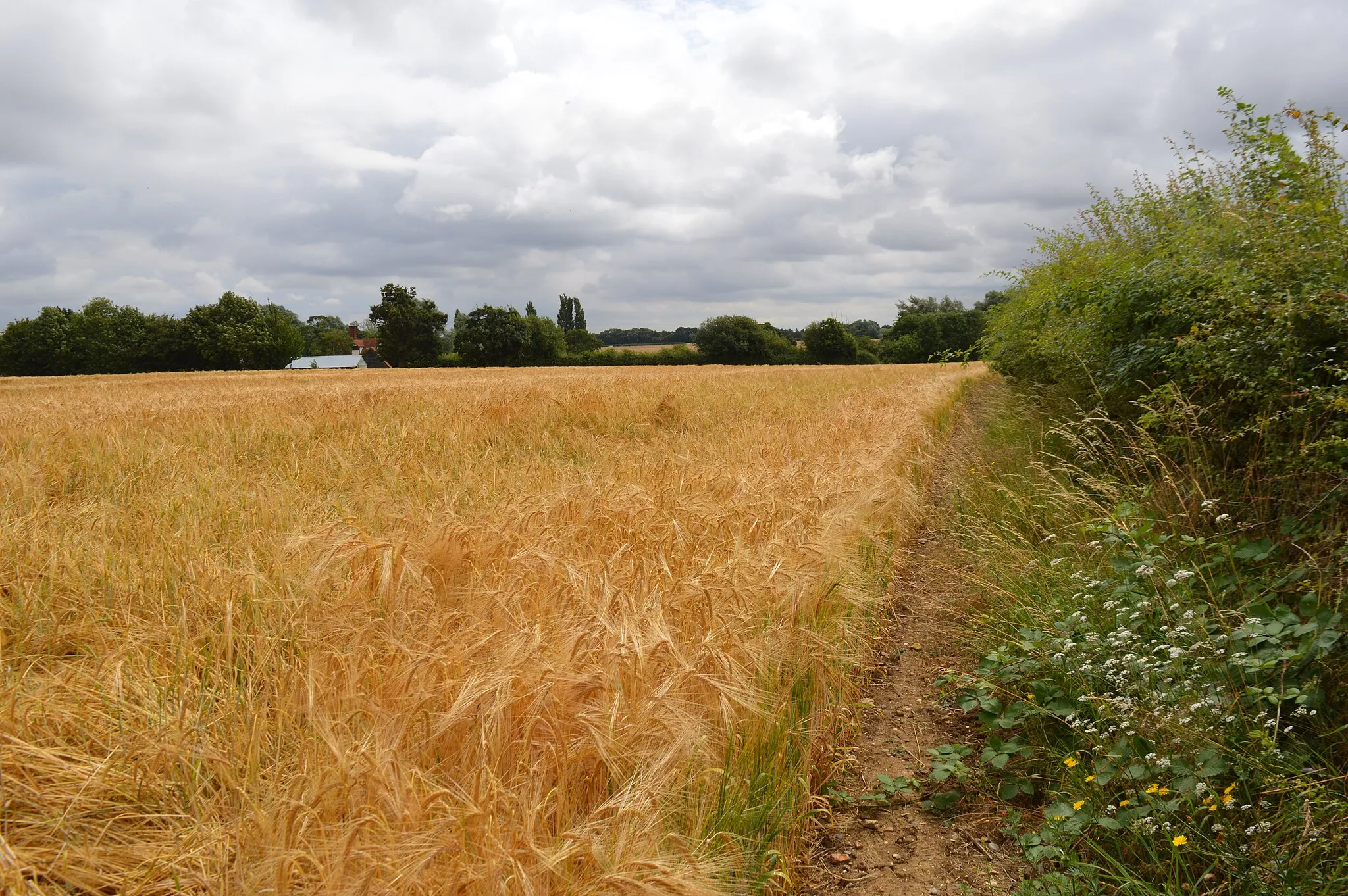 Photo showing: Newney Green Pit near Newney Green in Essex is a geological Site of Special Scientific Interest