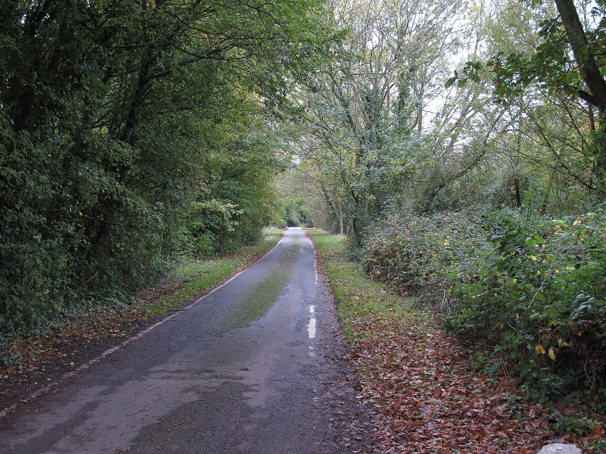 Photo showing: Road to Harlow