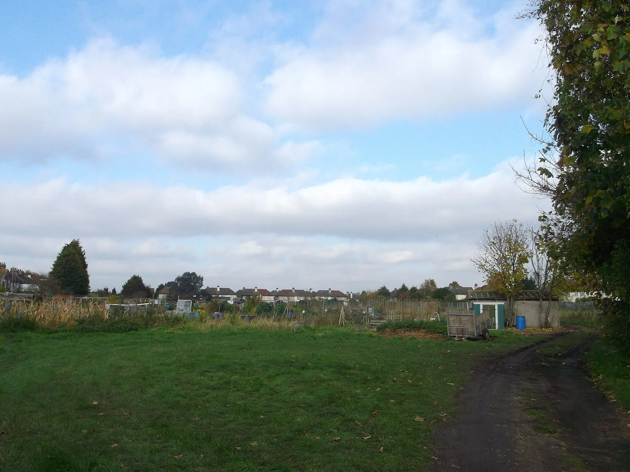 Photo showing: Allotment Gardens, Rainham