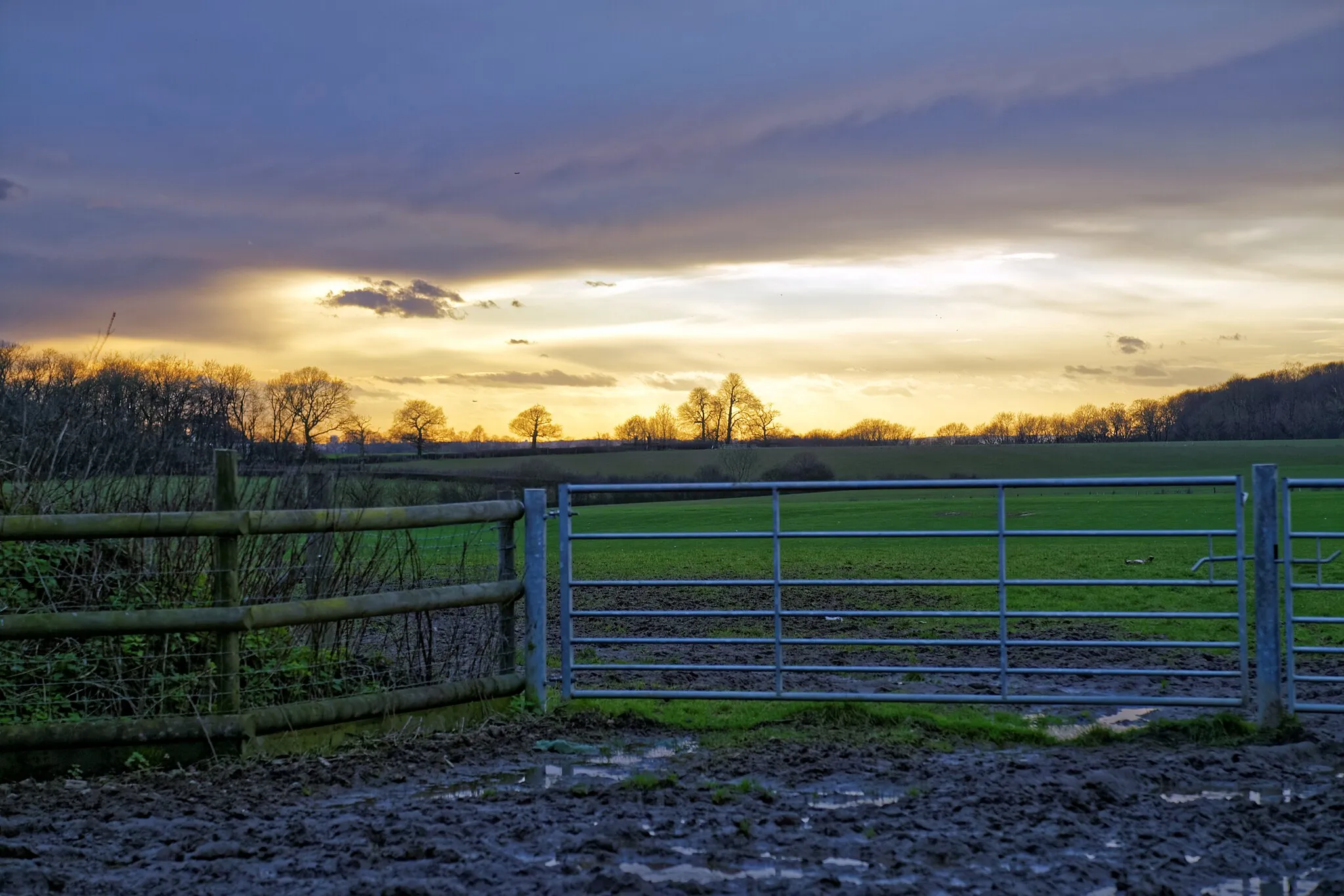 Photo showing: A sunset view west over a field from Tawney Lane at the edge of Northlands Wood in the civil parish of Stapleford Tawney, Essex, England. Camera: Canon EOS 6D with Canon EF 24-105mm F4L IS USM lens Software: file lens-corrected and optimized with DxO OpticsPro 10 Elite and Viewpoint 2, and further optimized with Adobe Photoshop CS2.