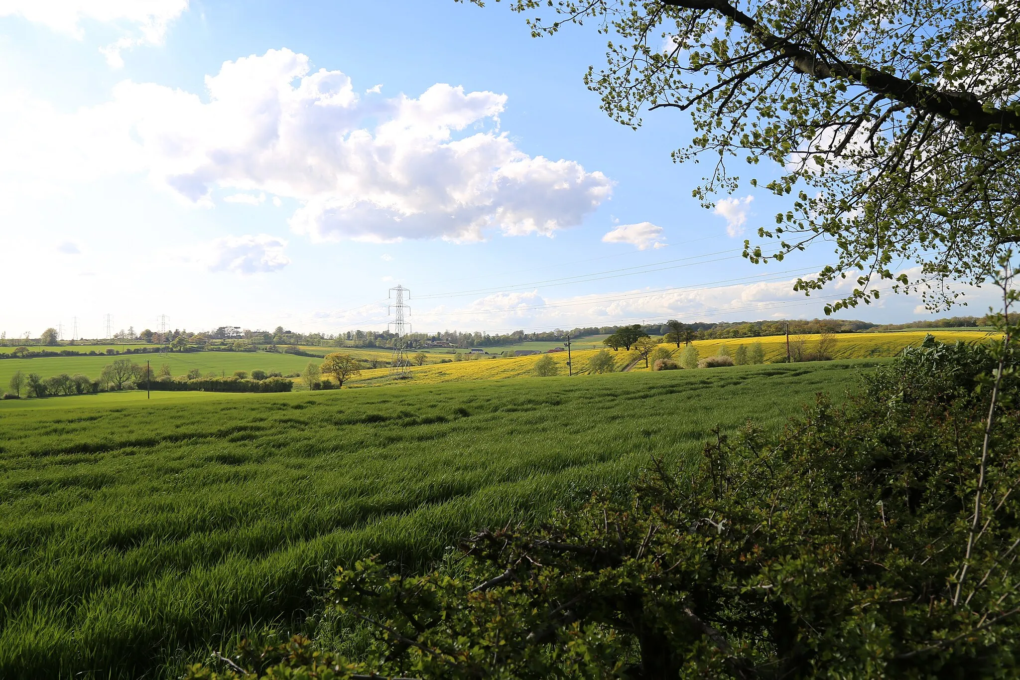 Photo showing: Fields looking north-west from churchyard, Stapleford Tawney, Essex, England