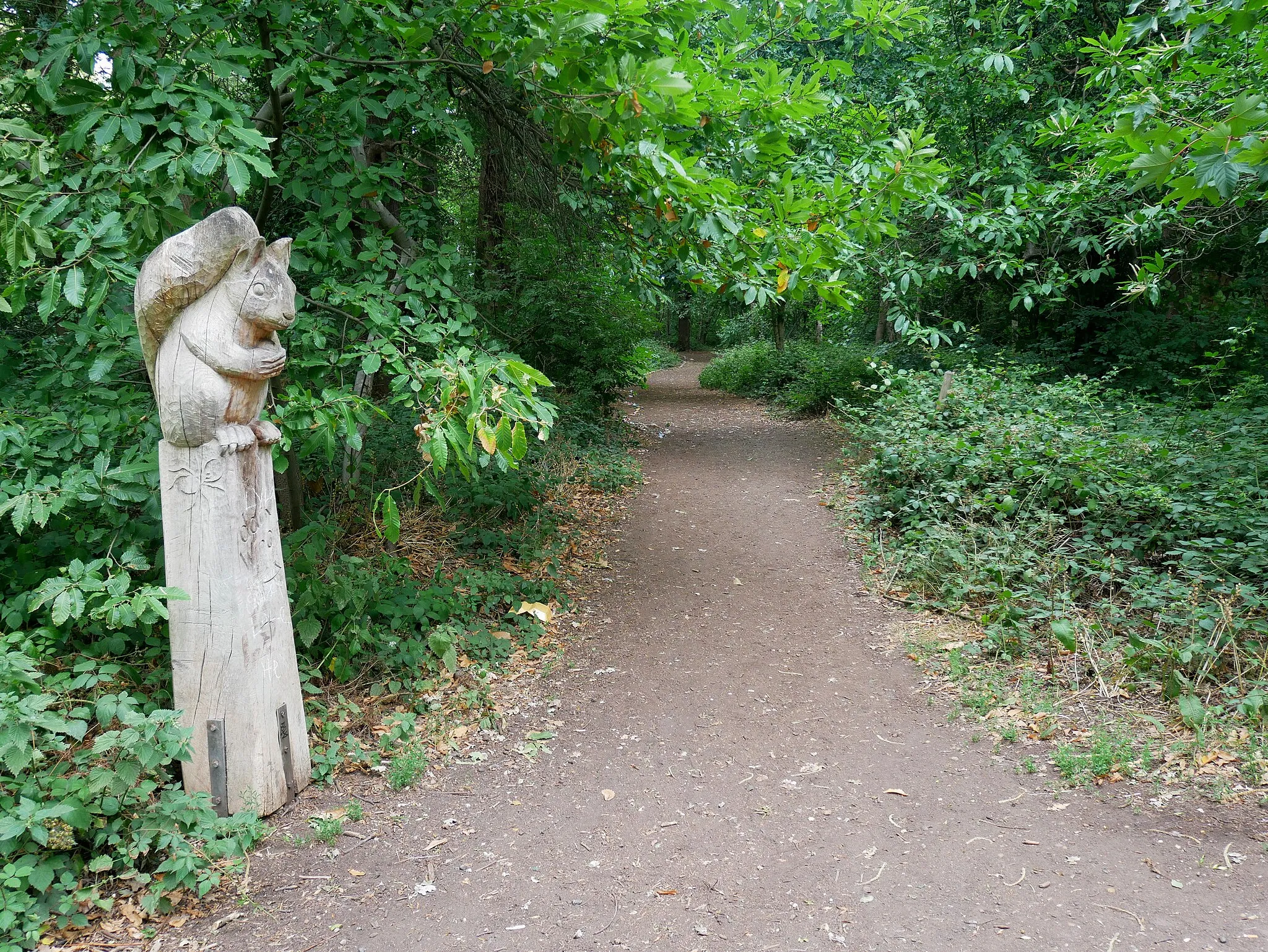 Photo showing: A pathway at the southern side of Bursted Wood in Barnehurst, London Borough of Bexley.