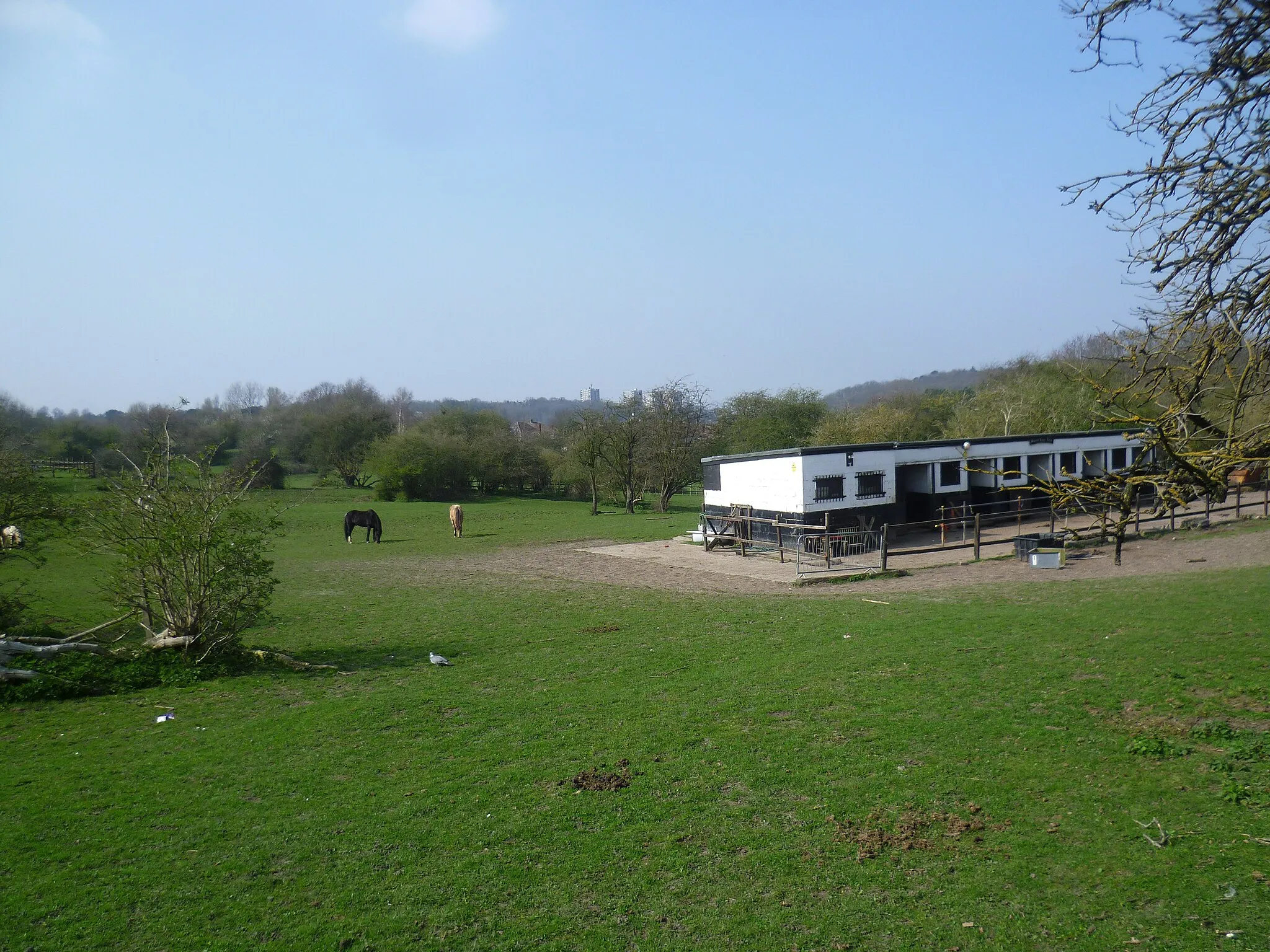 Photo showing: Stables at East Wickham