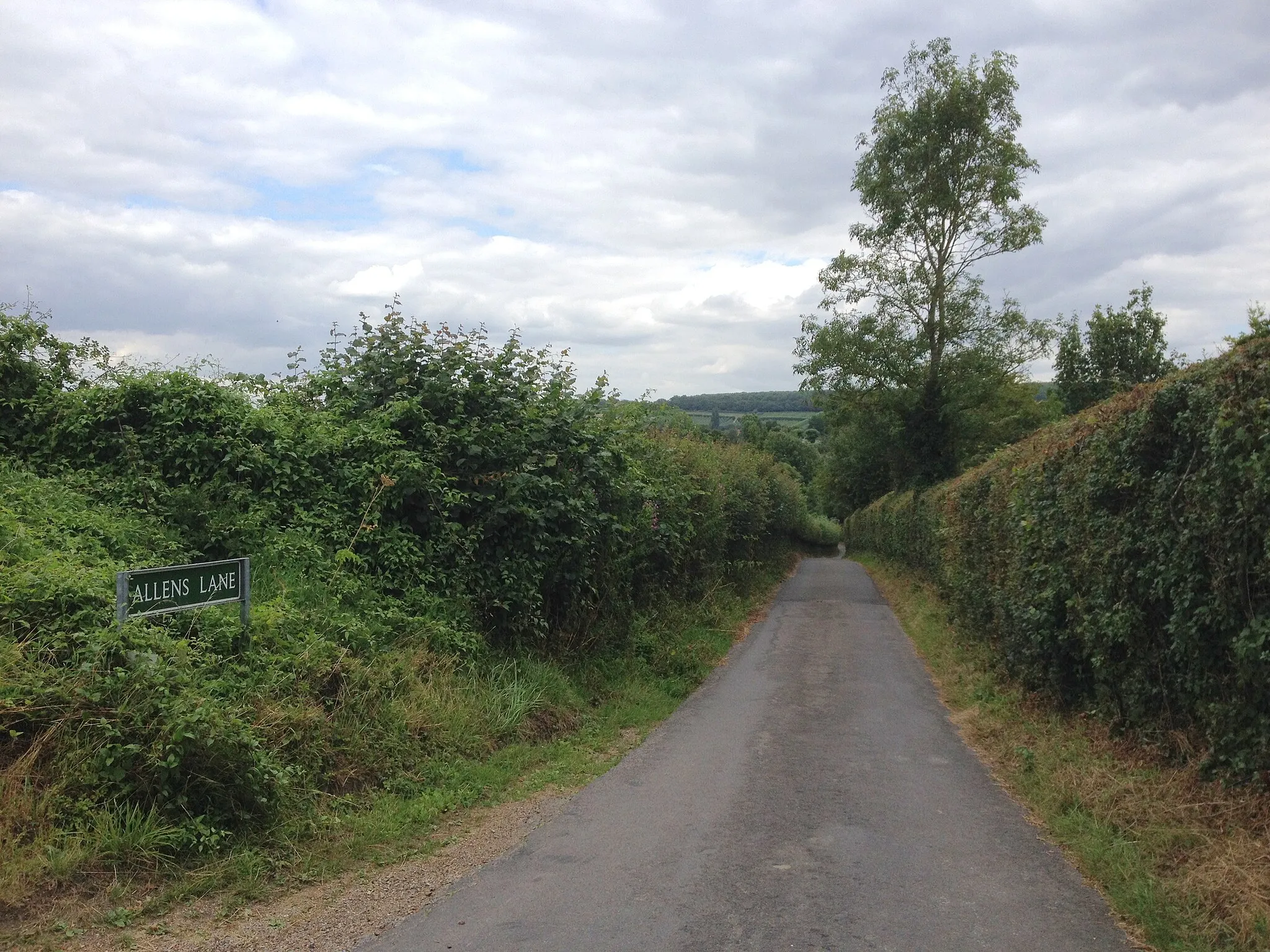 Photo showing: Allens Lane, Dunk's Green