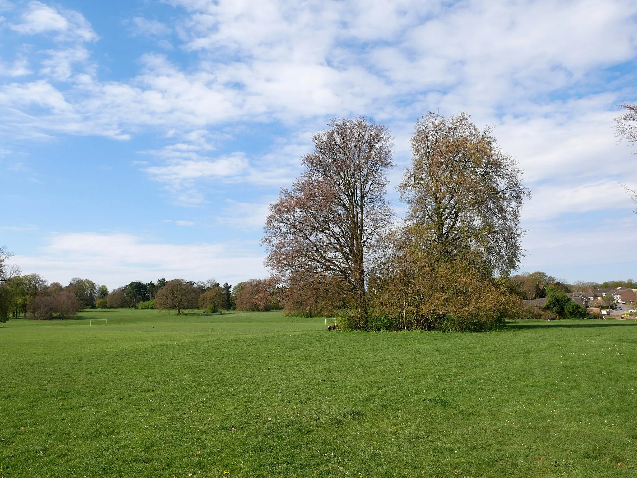 Photo showing: A tree amid the field in the northern part of Goddington Park, London Borough of Bromley.