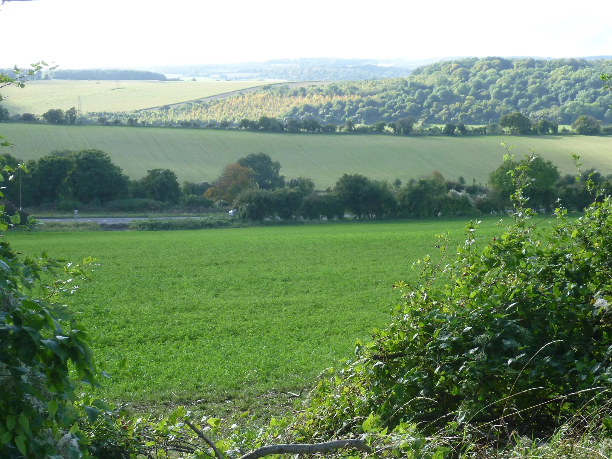 Photo showing: A20 from near Gabrielspring Road