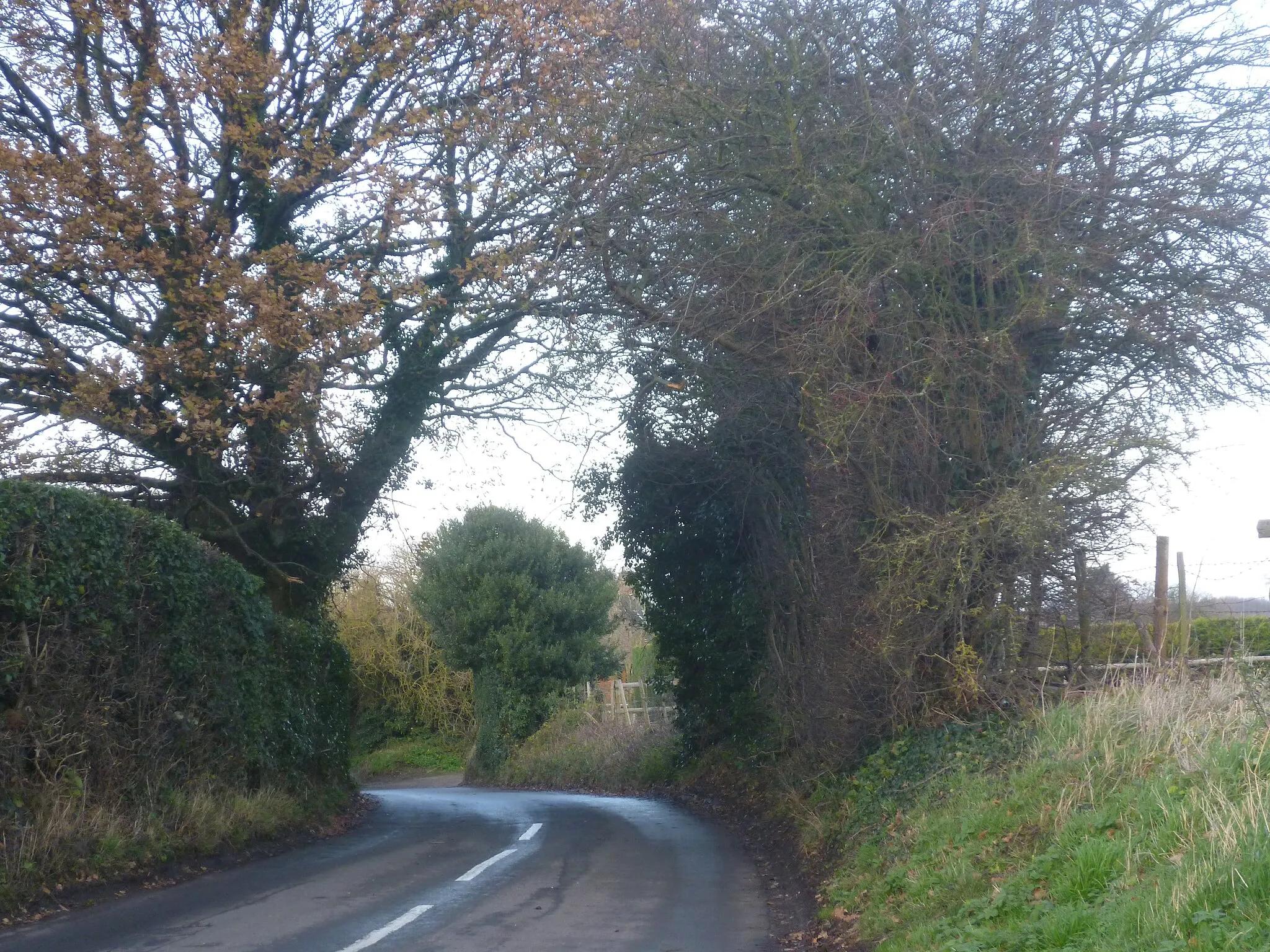 Photo showing: Hollybush Lane, Maypole