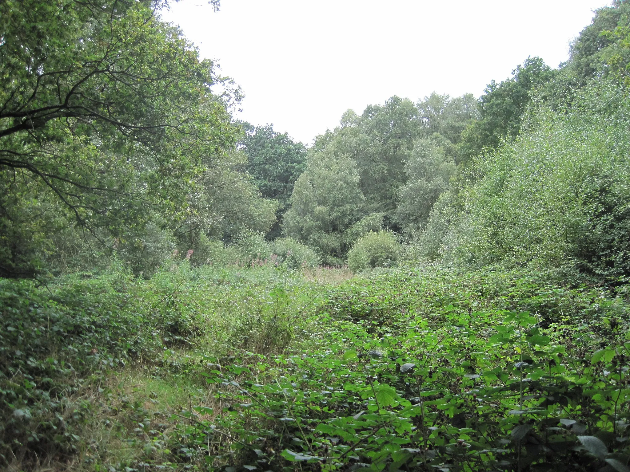 Photo showing: Rowley Green Common, Arkley, Barnet, London