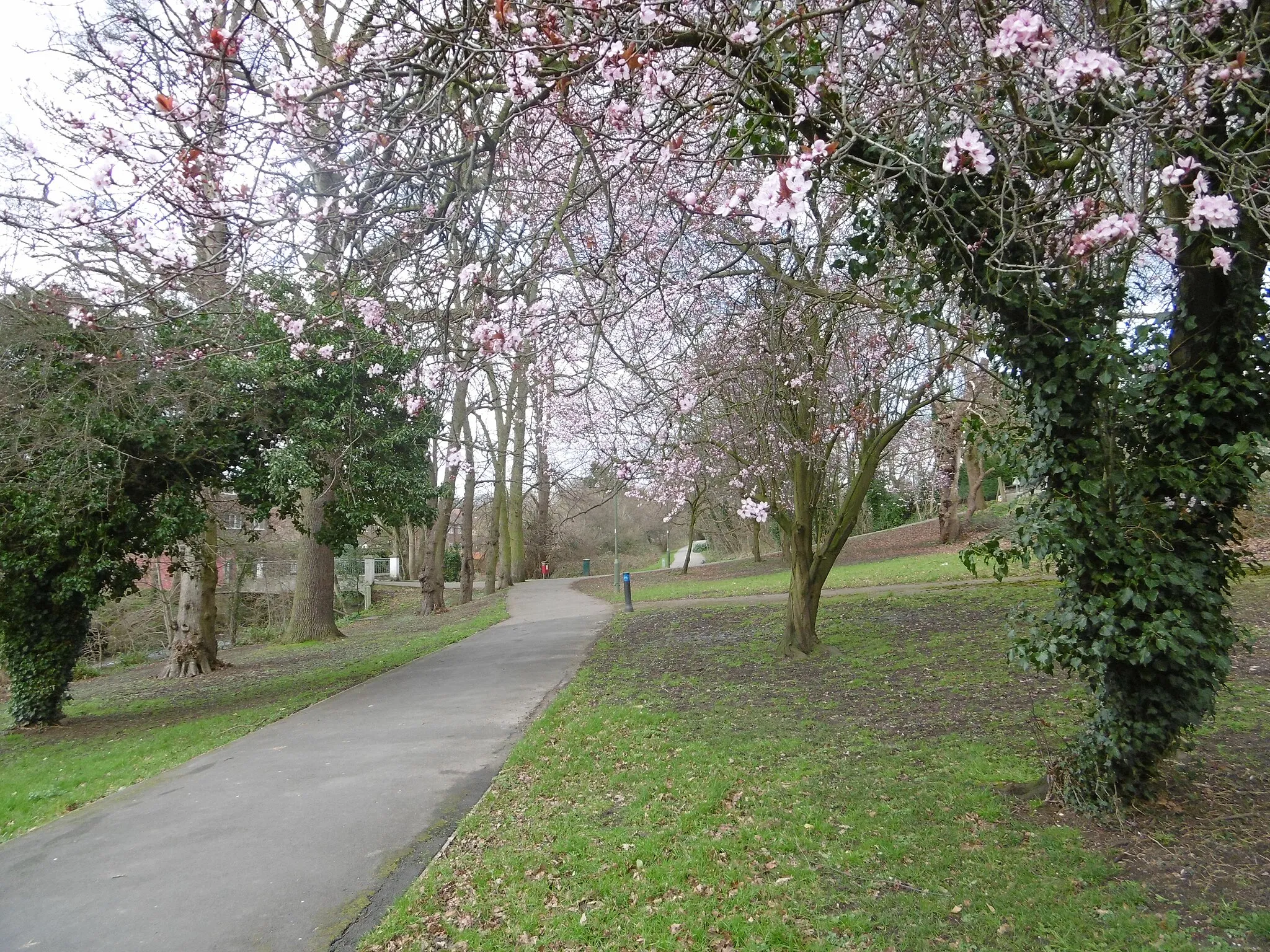 Photo showing: Waterfall Walk in Brunswick Park