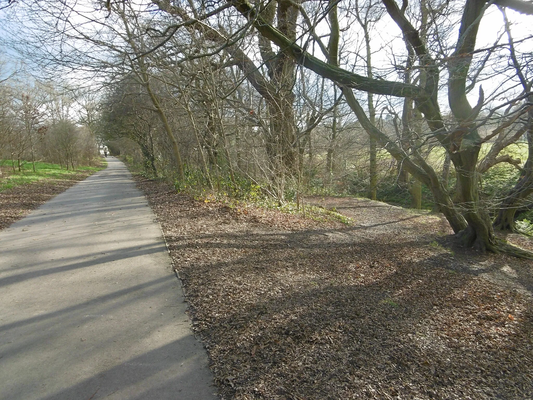 Photo showing: Waterfall Walk in Brunswick Park