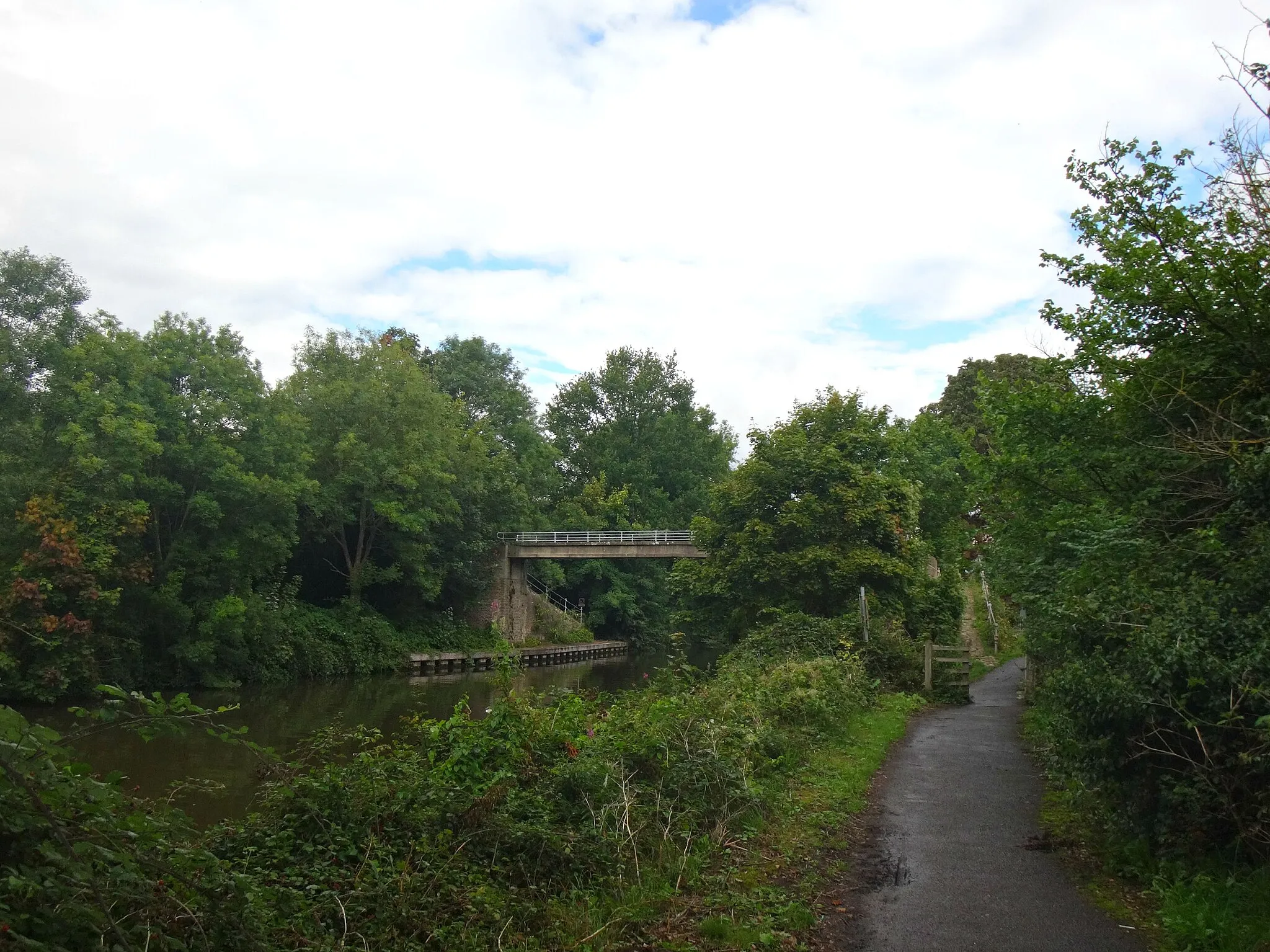 Photo showing: Footbridge onto Sunburylock Ait