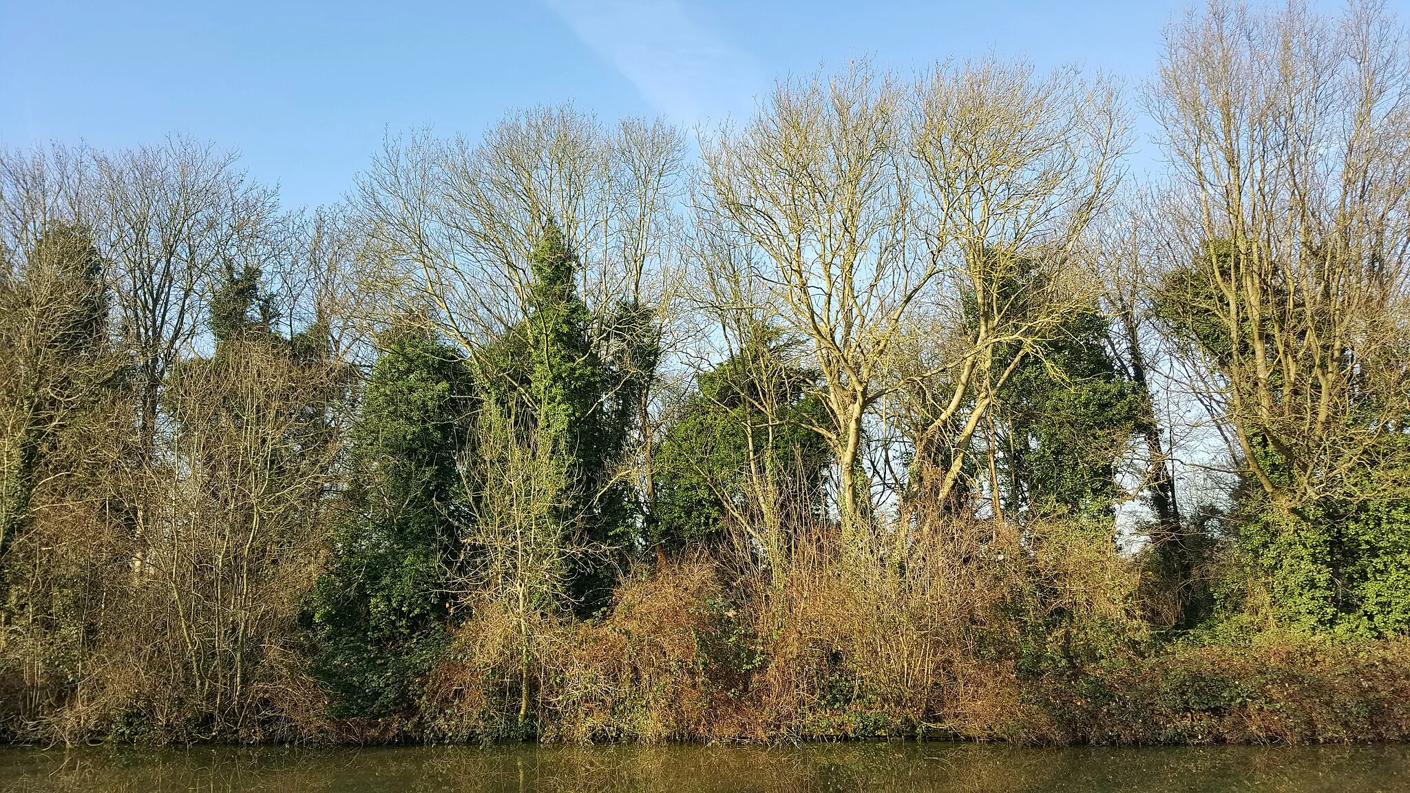 Photo showing: , an island in the River Thames off the shore of Sunbury, Surrey. Despite the name it is not accessible directly from Sunbury, other than by a footbridge to Wheatley's Aitwhich is closed to the public. A public footbridge connects the island to the south bank of the Thames near Walton on Thames.
