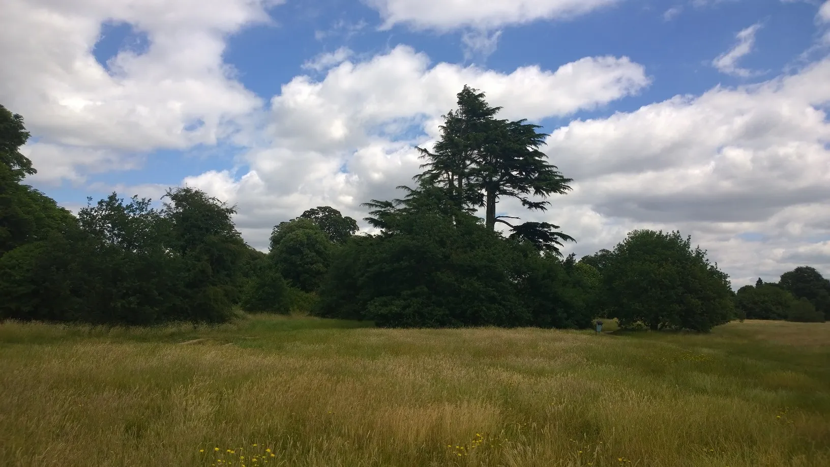 Photo showing: Sunbury Park