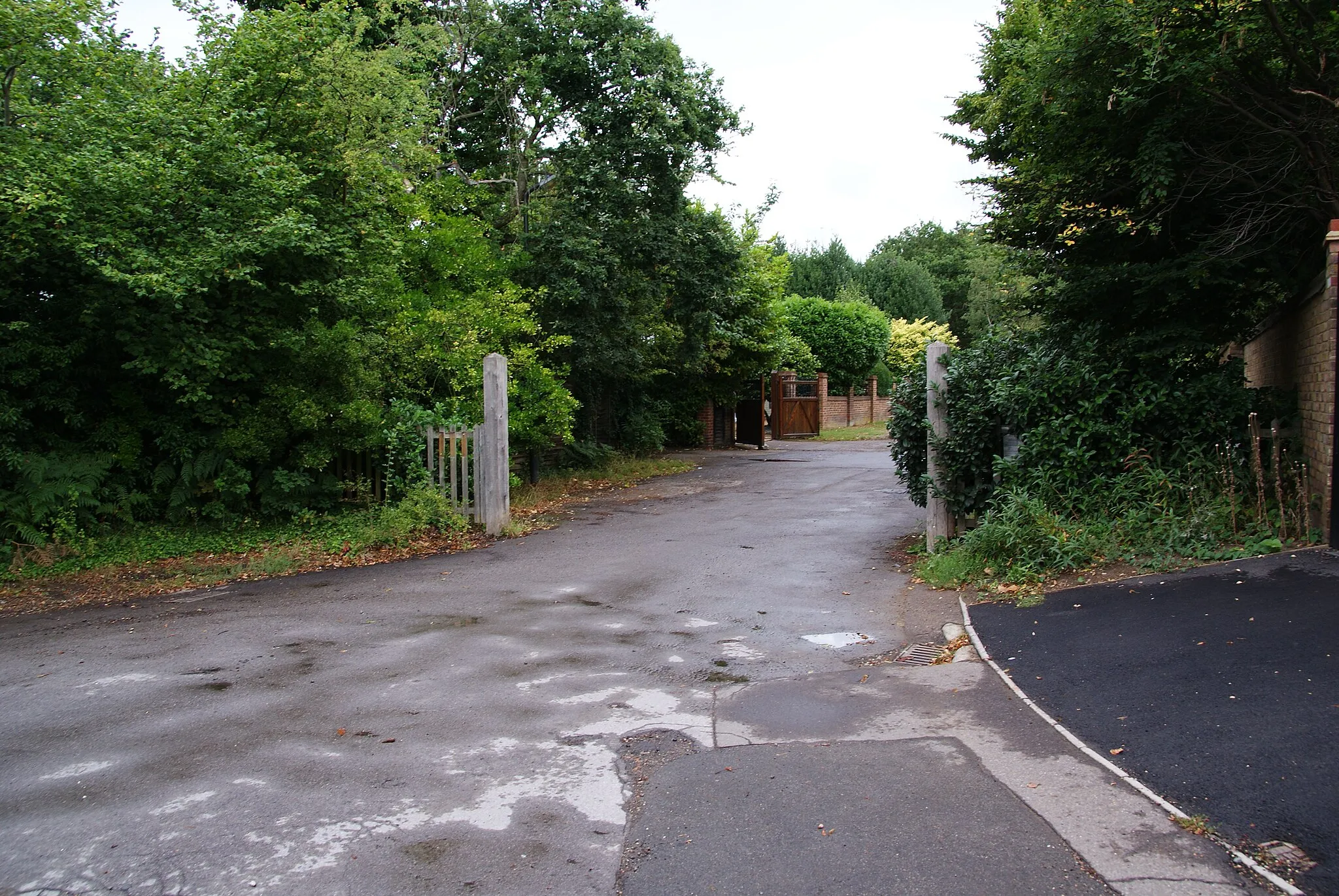 Photo showing: Almer Road