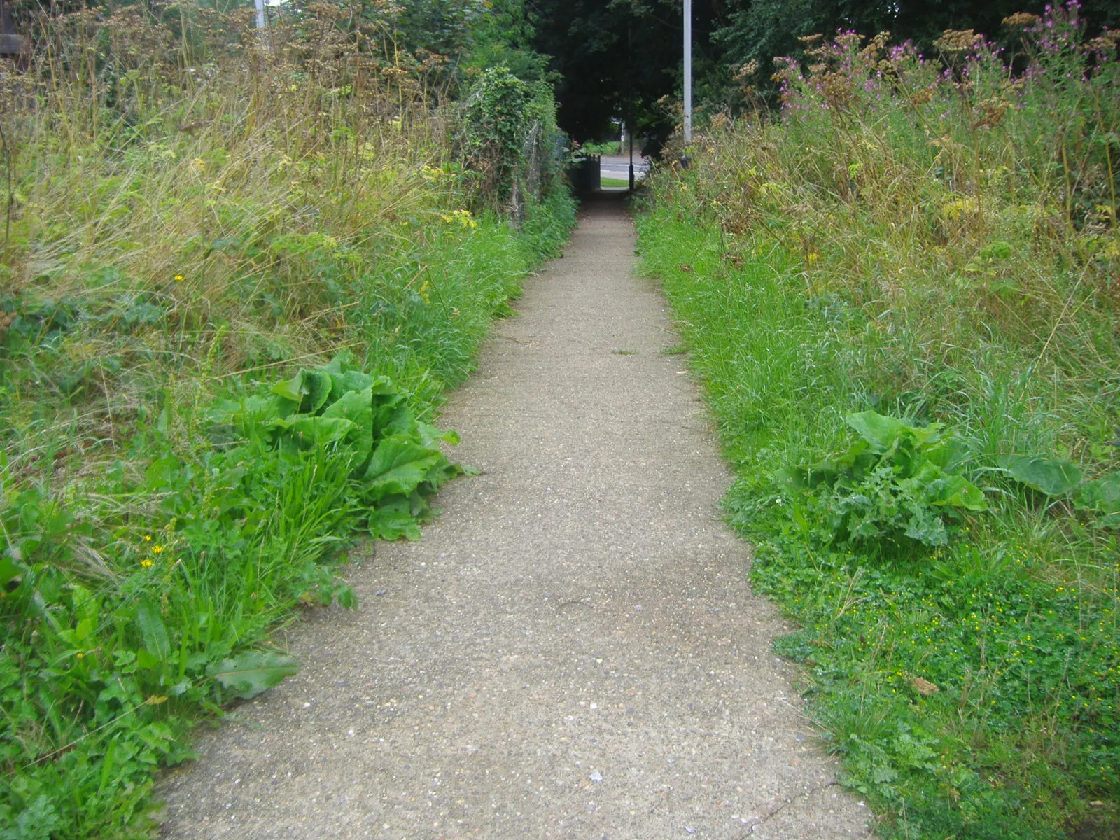 Photo showing: Footpath to A5 from Park Street station