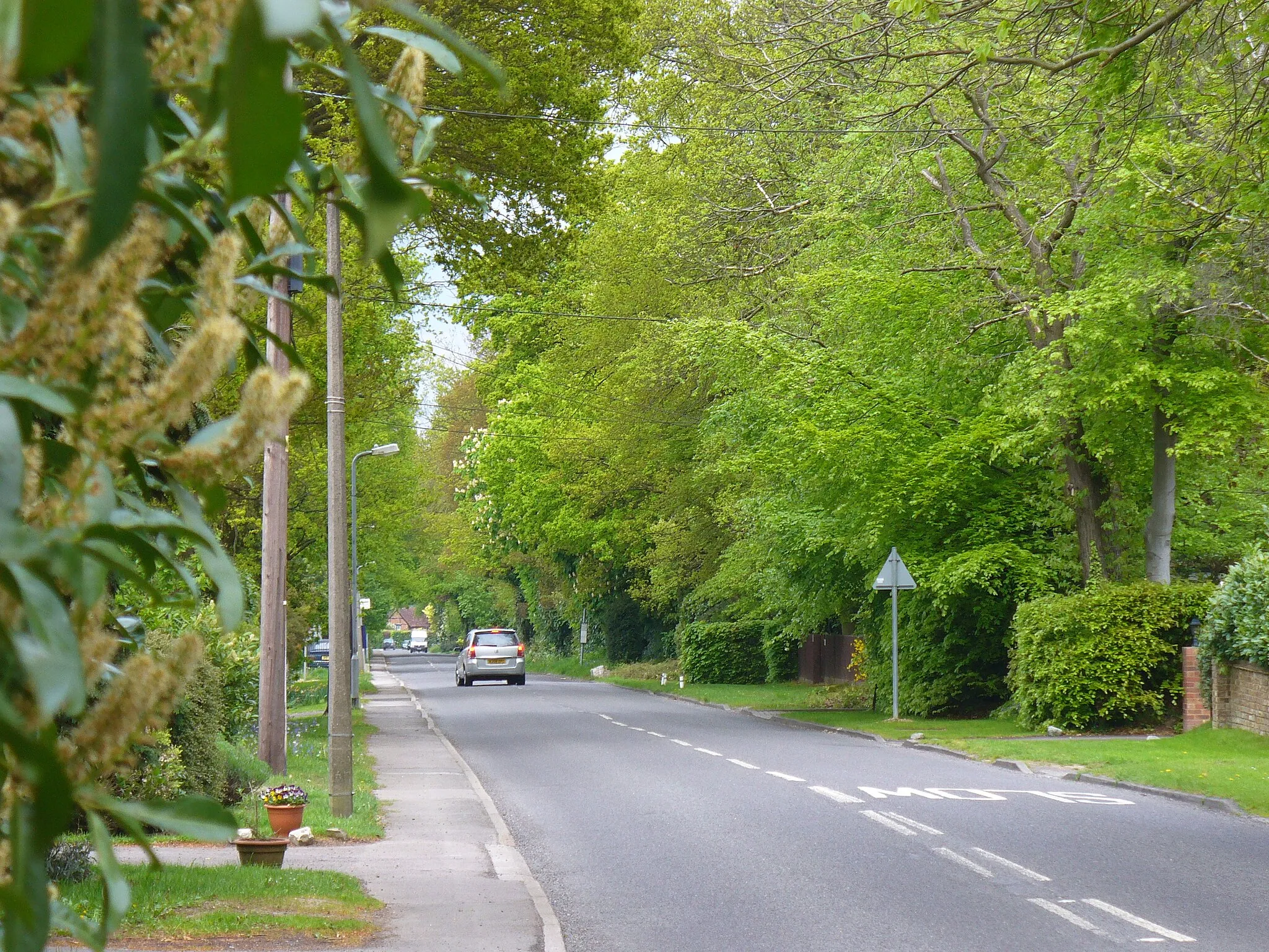 Photo showing: Locks Ride, near to Winkfield Row, Bracknell Forest, Great Britain.
Leafy and residential road in Winkfield Row. Many of the houses are detached and hidden behind gates and hedges.
Link