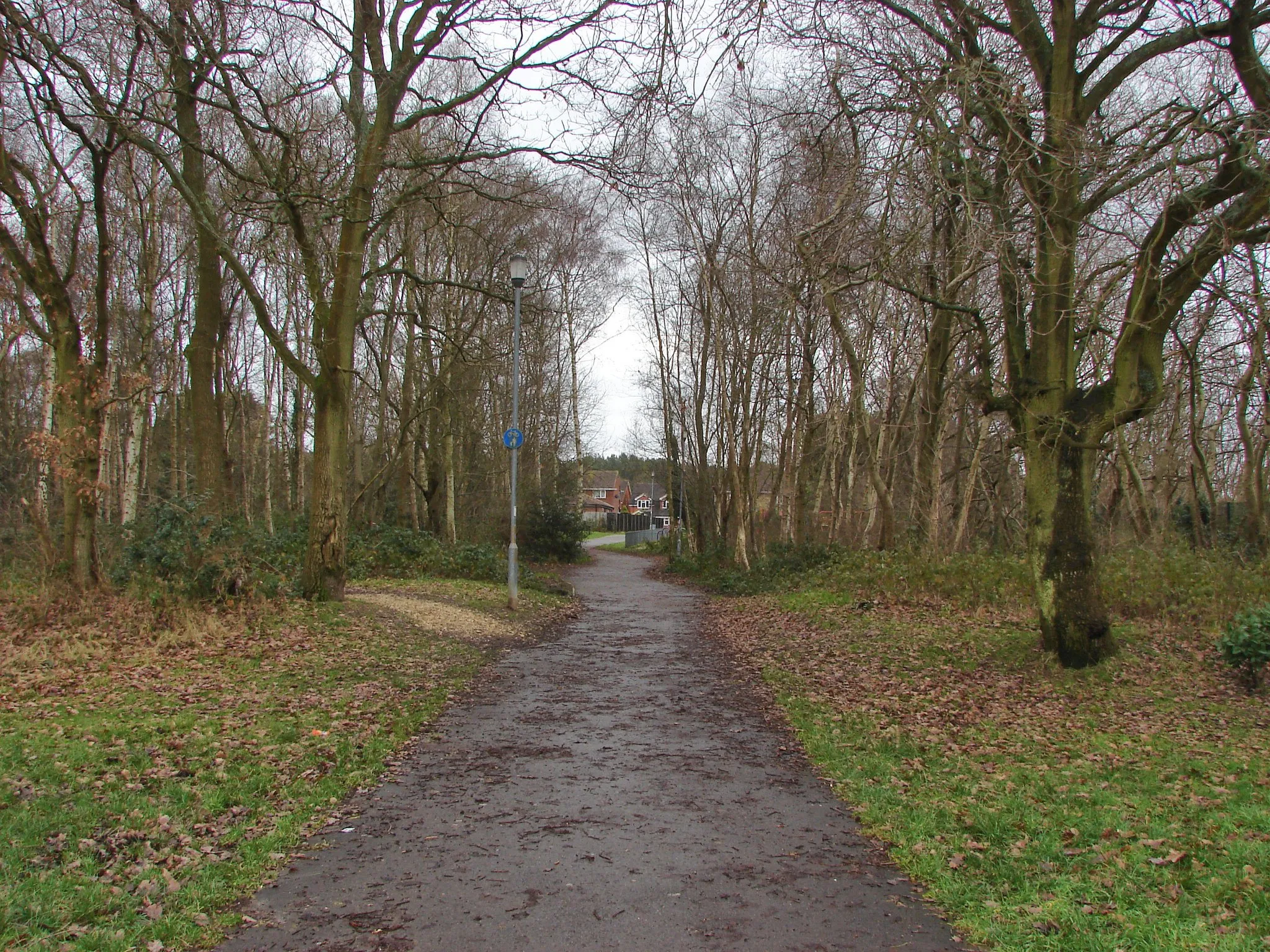 Photo showing: Path, Owlsmoor playing fields