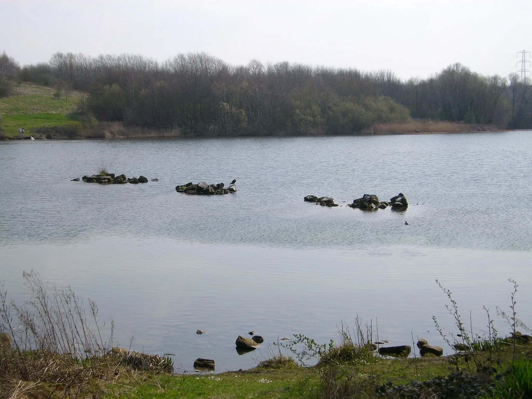 Photo showing: Larger Balancing Lake (Sheepwash Urban Park)