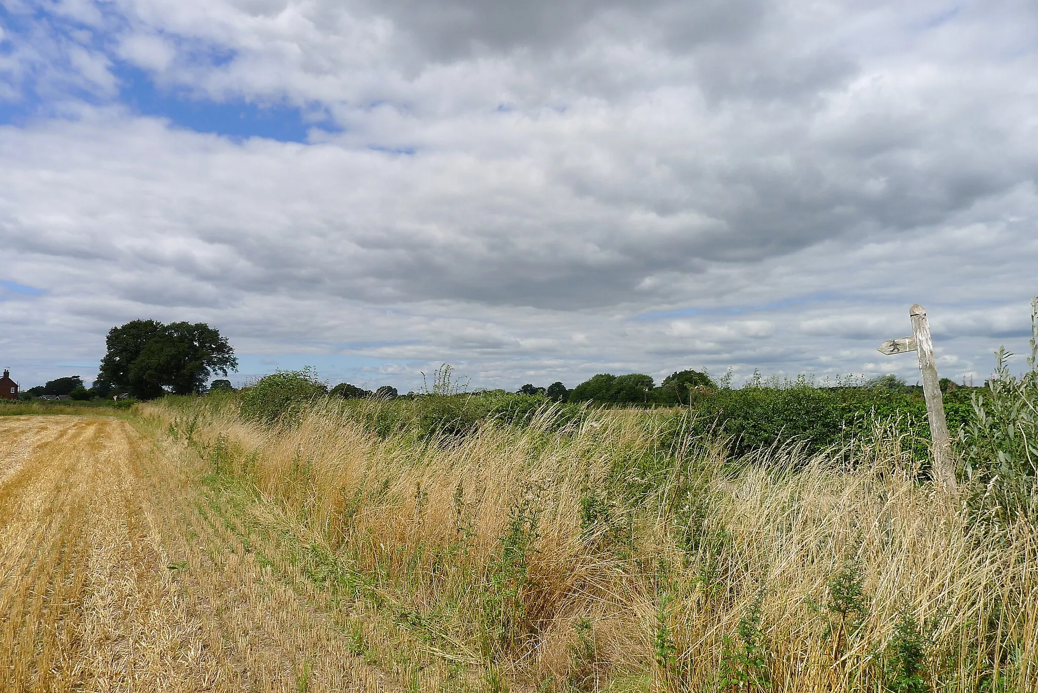 Photo showing: A field alongside Ridware Road