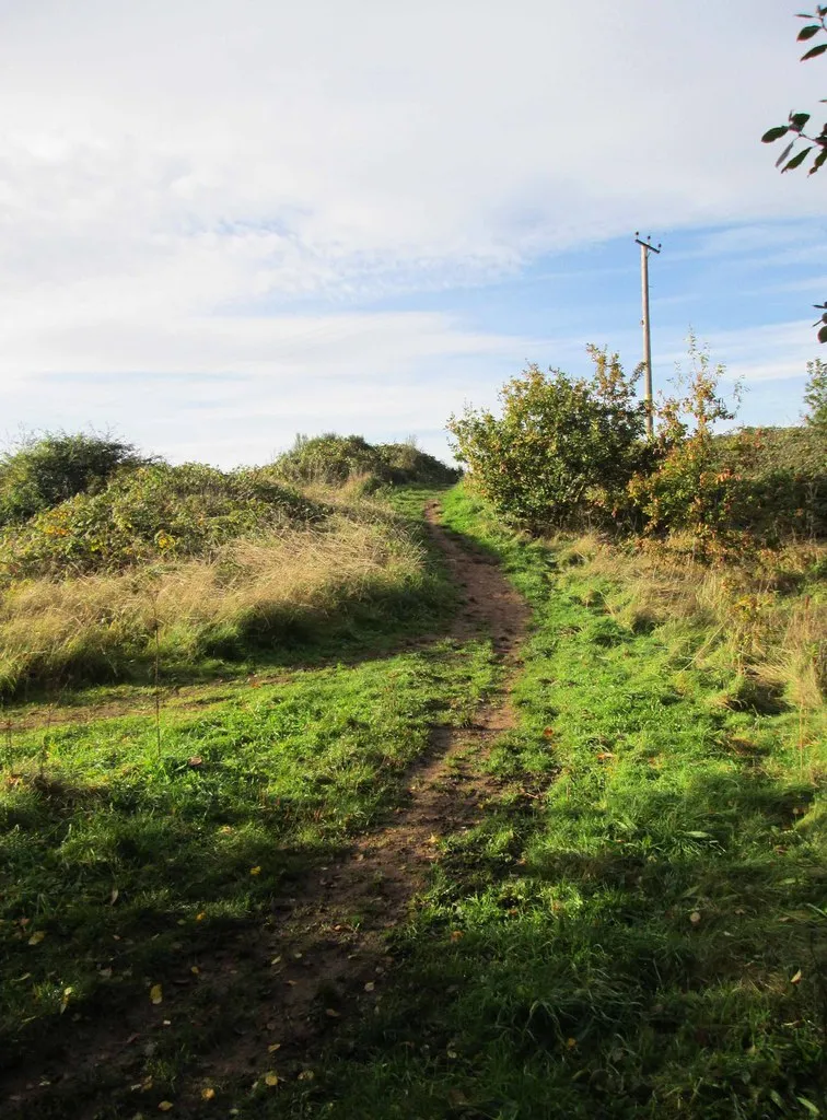 Photo showing: Ascending footpath near Wolverley, Worcs