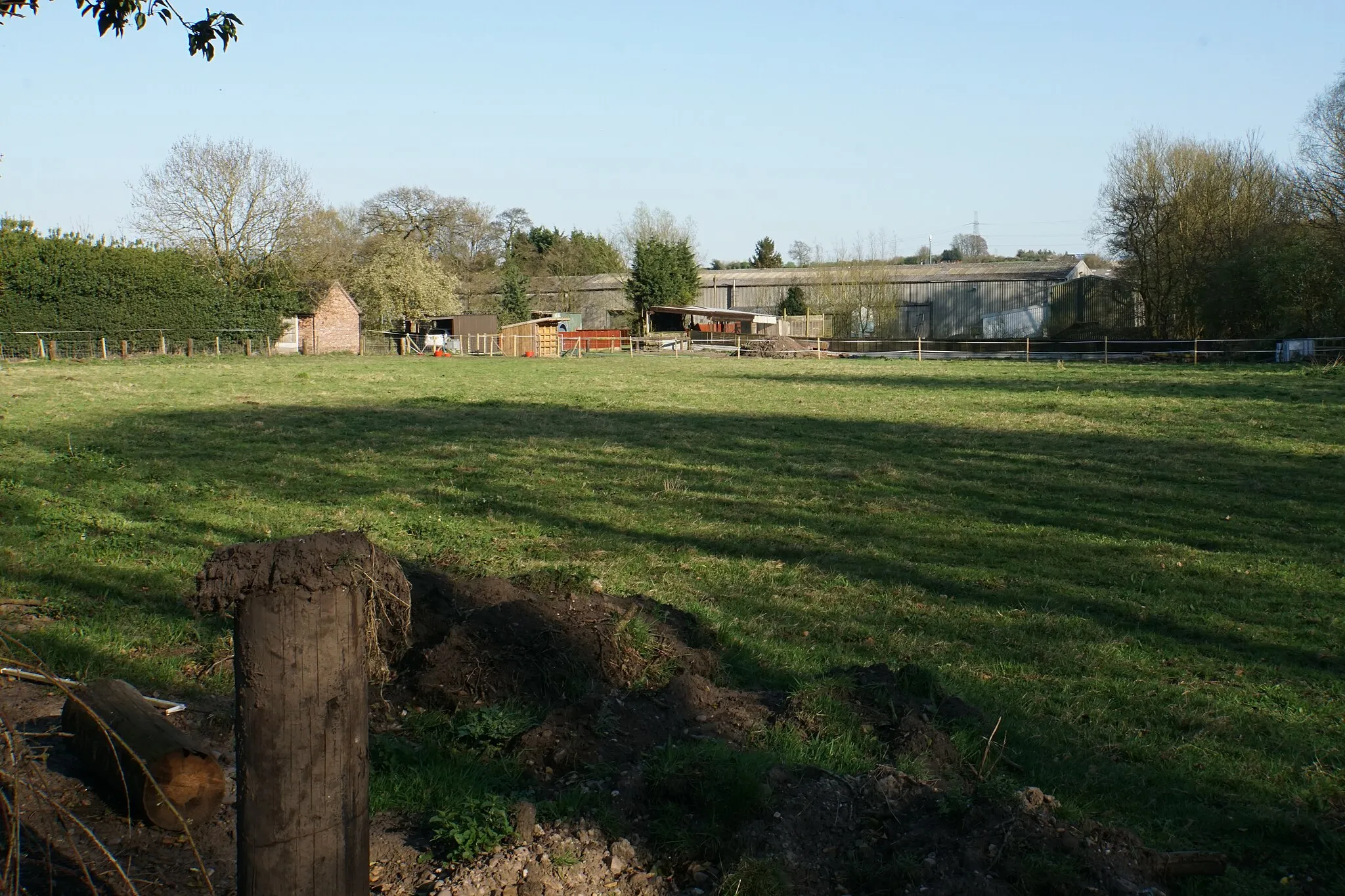 Photo showing: A paddock for horses at Calf Heath