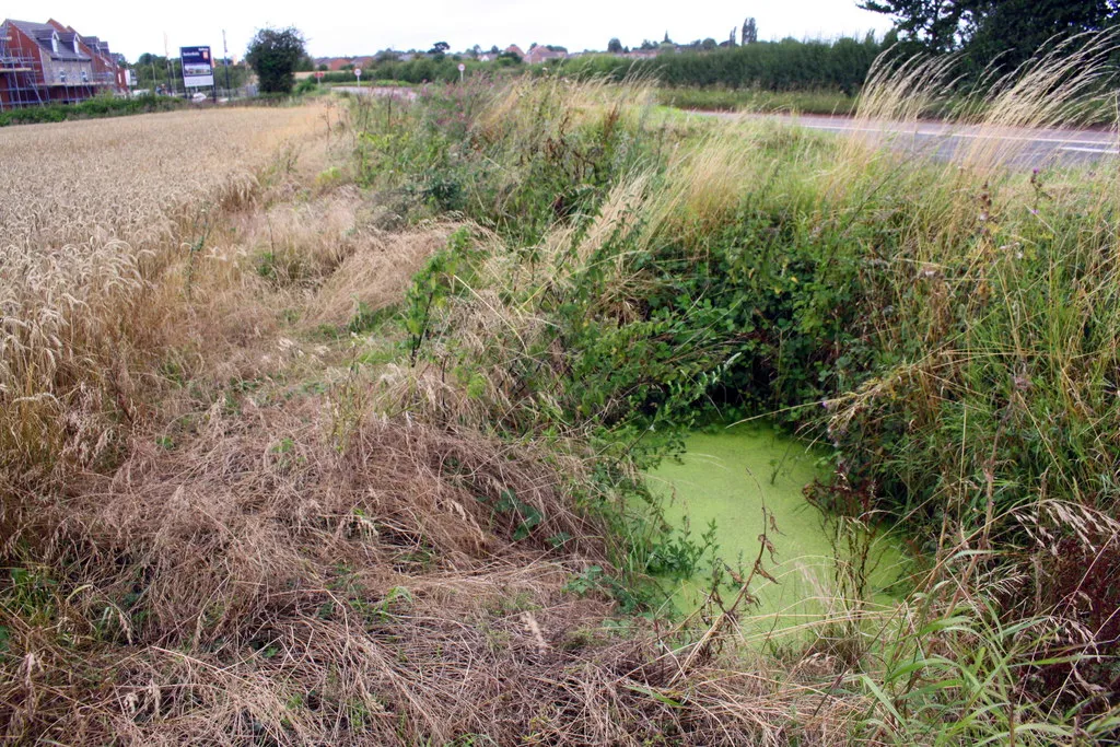 Photo showing: Ditch and culvert beside Ashby Road (B5493)
