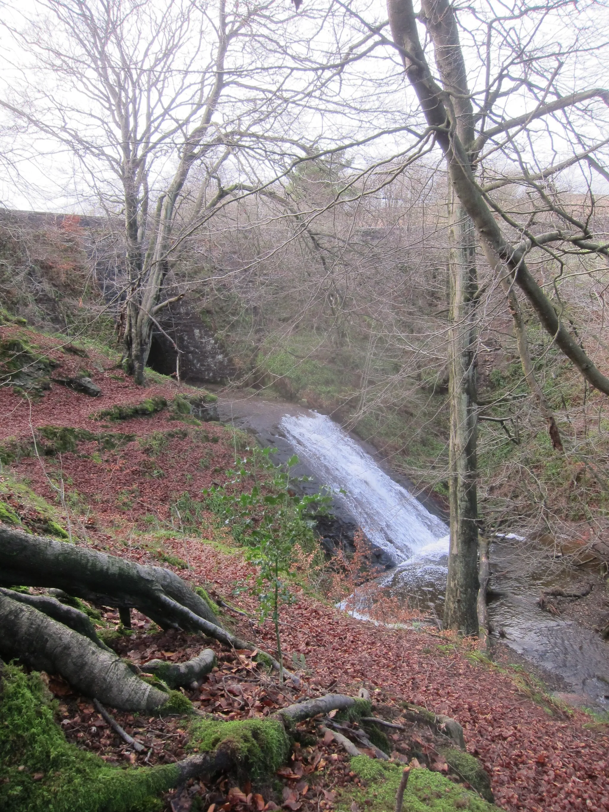 Photo showing: A waterfall where the Blake Brook drops down into Lumpool Plantation