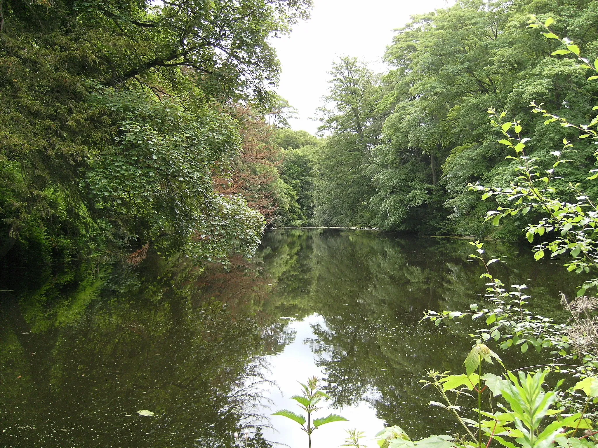 Photo showing: View of Upper Pool from western end, the Dingle, Badger, Shropshire.