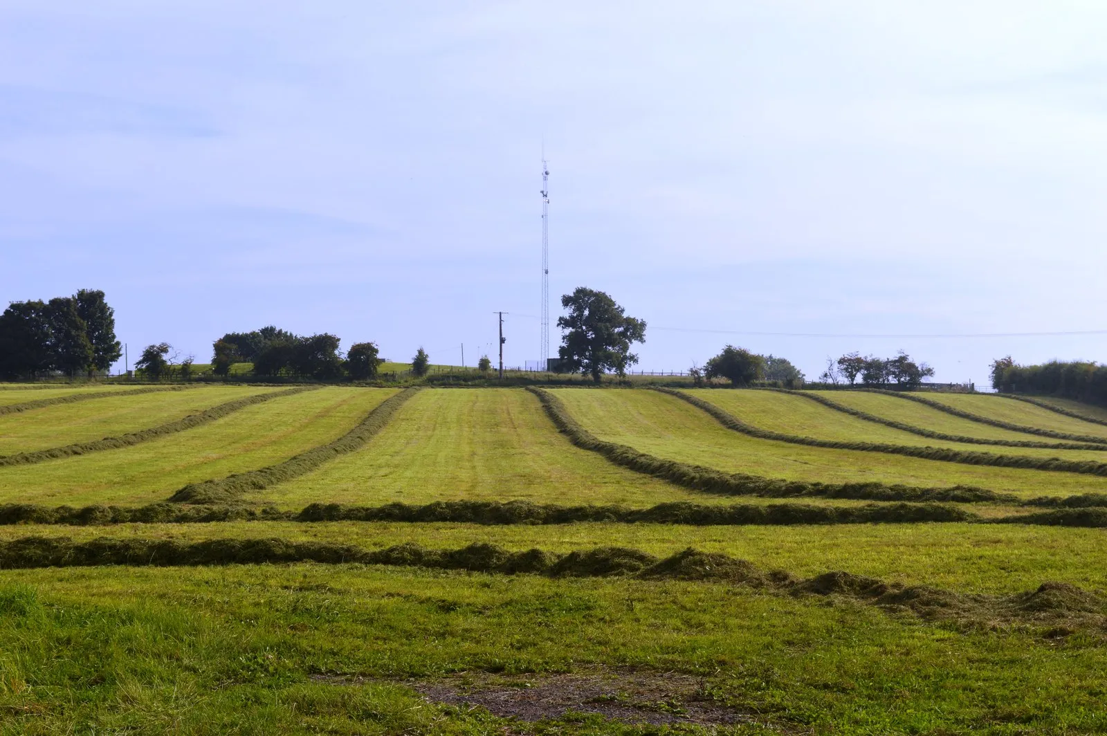 Photo showing: Farmland and mast on Butter Hill