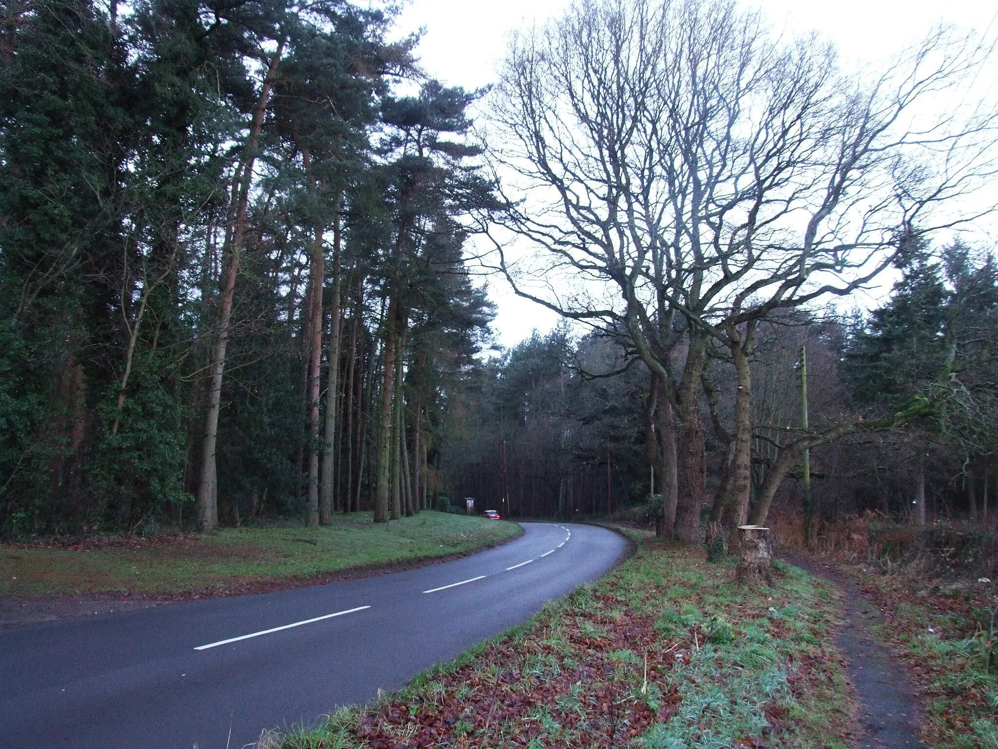Photo showing: Belbroughton Road, near Hackman's Gate