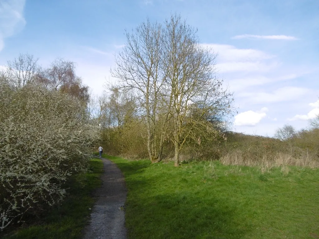 Photo showing: Ashmore Park to Essington path