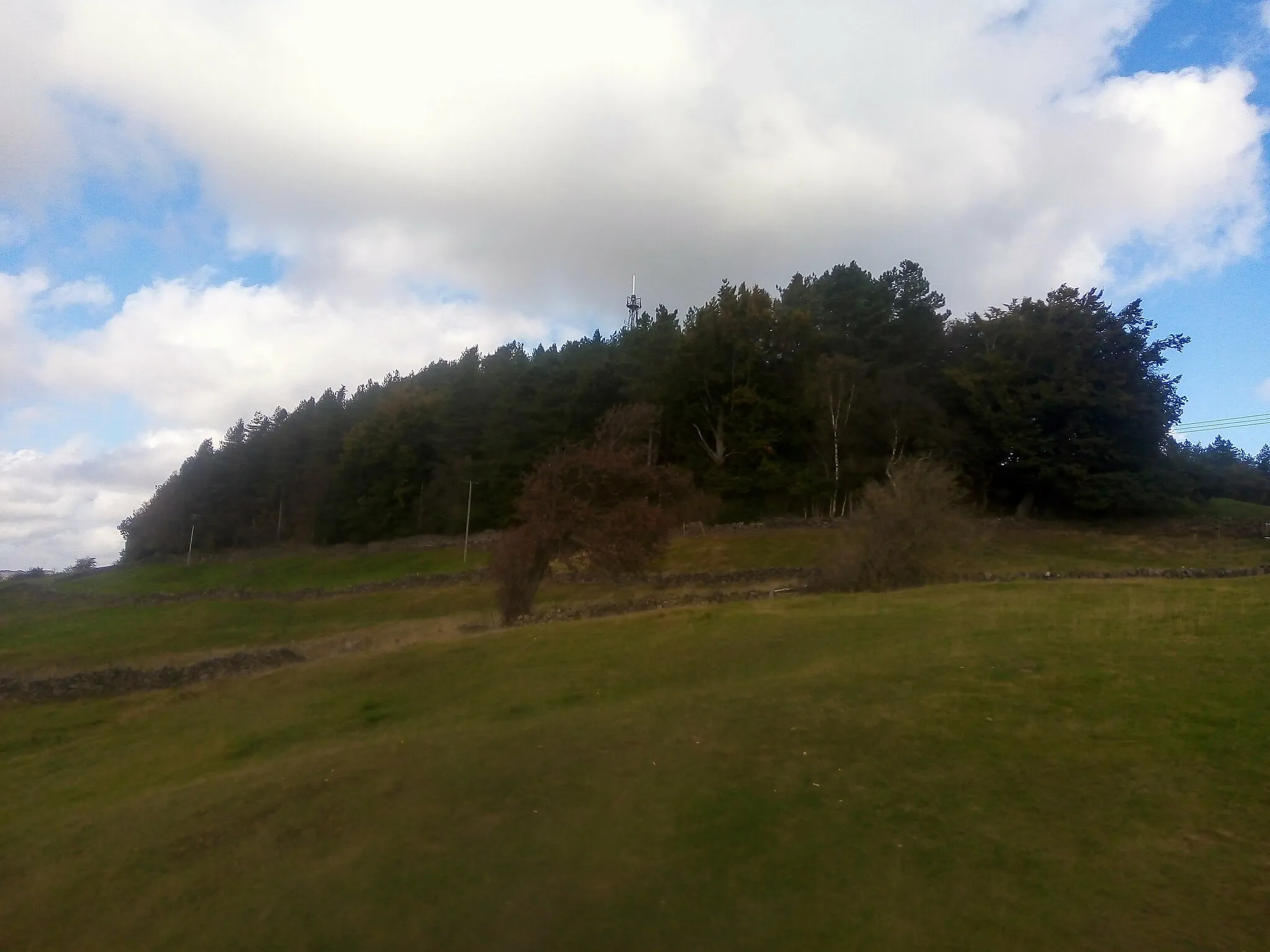 Photo showing: Path and Wood, Big Plantation above Bolehill, Derbyshire