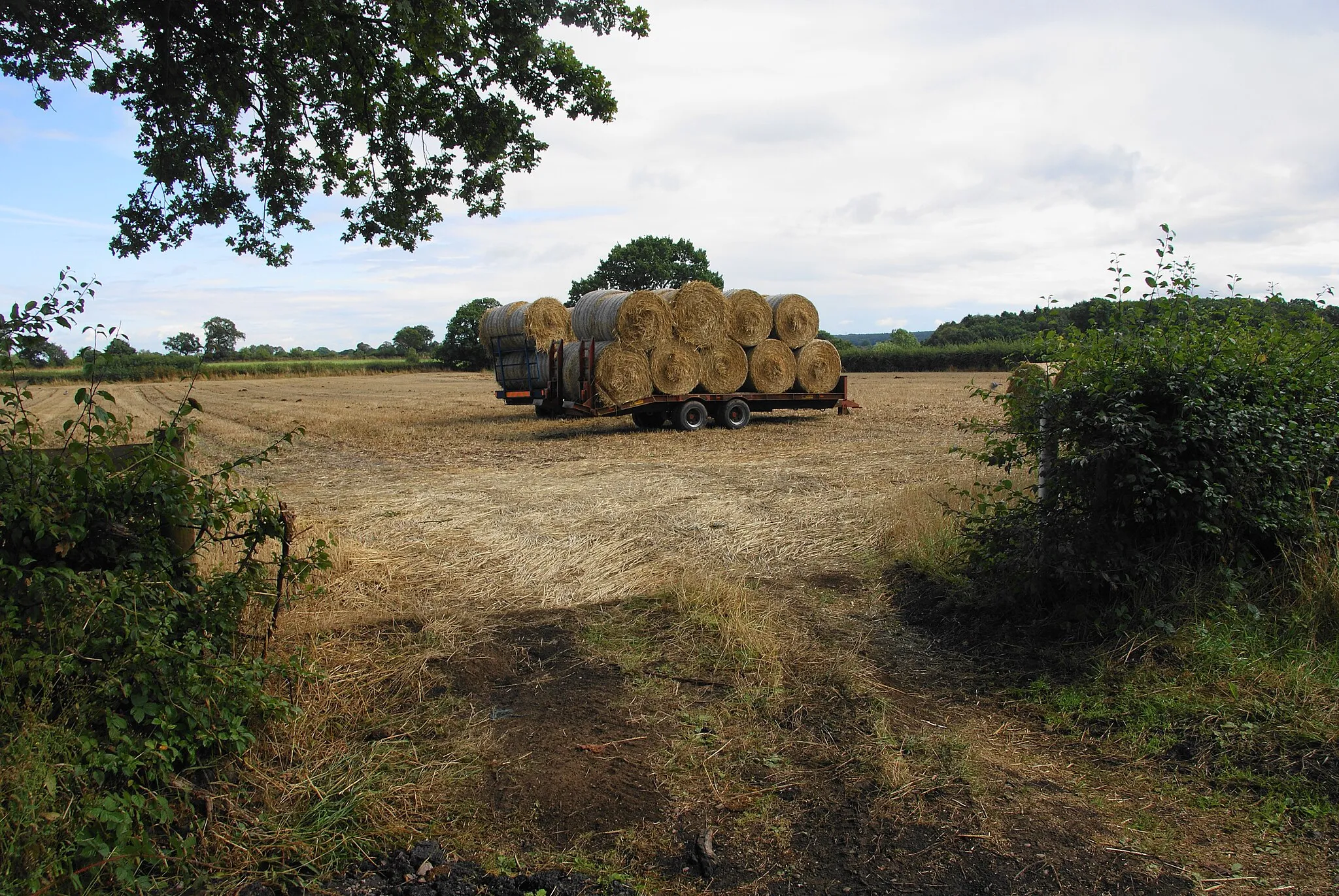 Photo showing: Bales ready for transit on Leese Hill