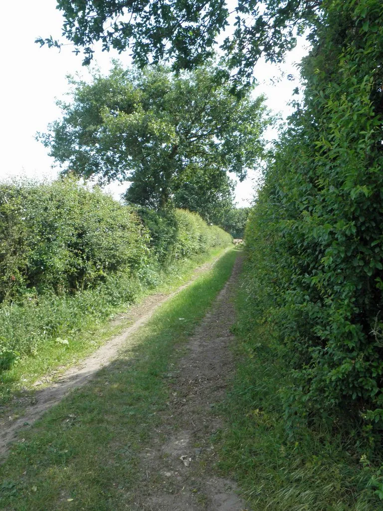 Photo showing: A bridleway from Scrooby to Mattersey