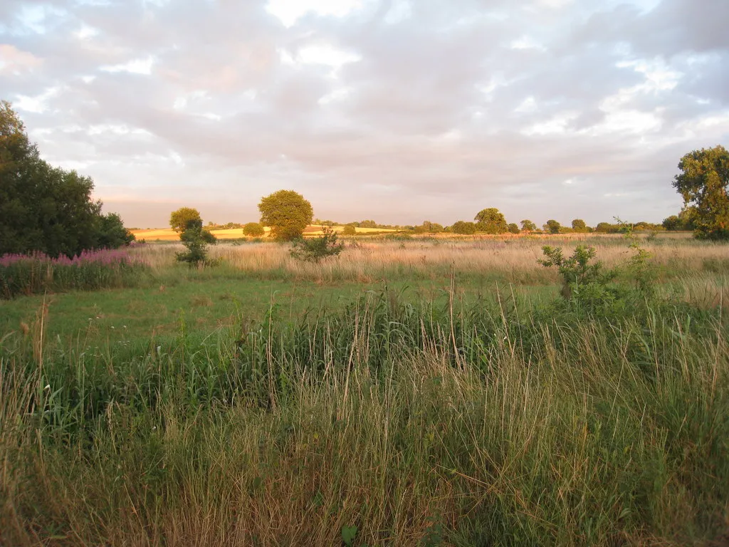 Photo showing: Abandoned fields near Westwoodside