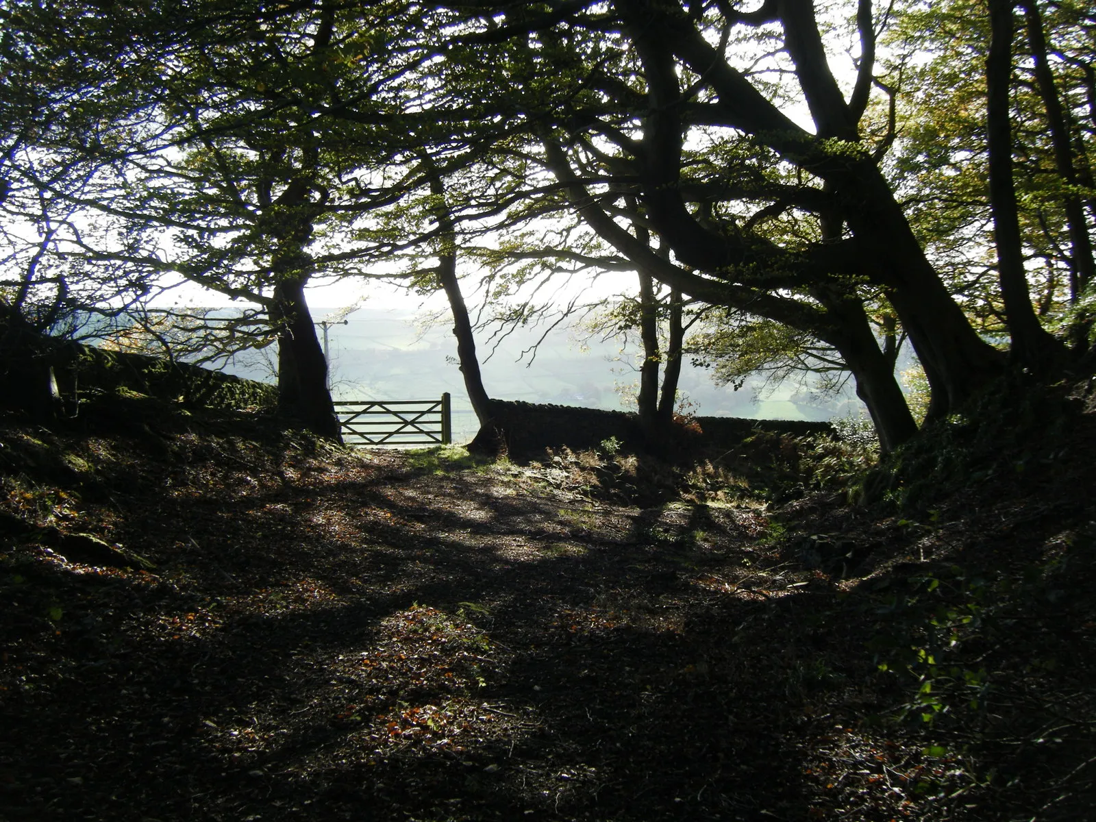 Photo showing: Bailey Hill, High Bradfield