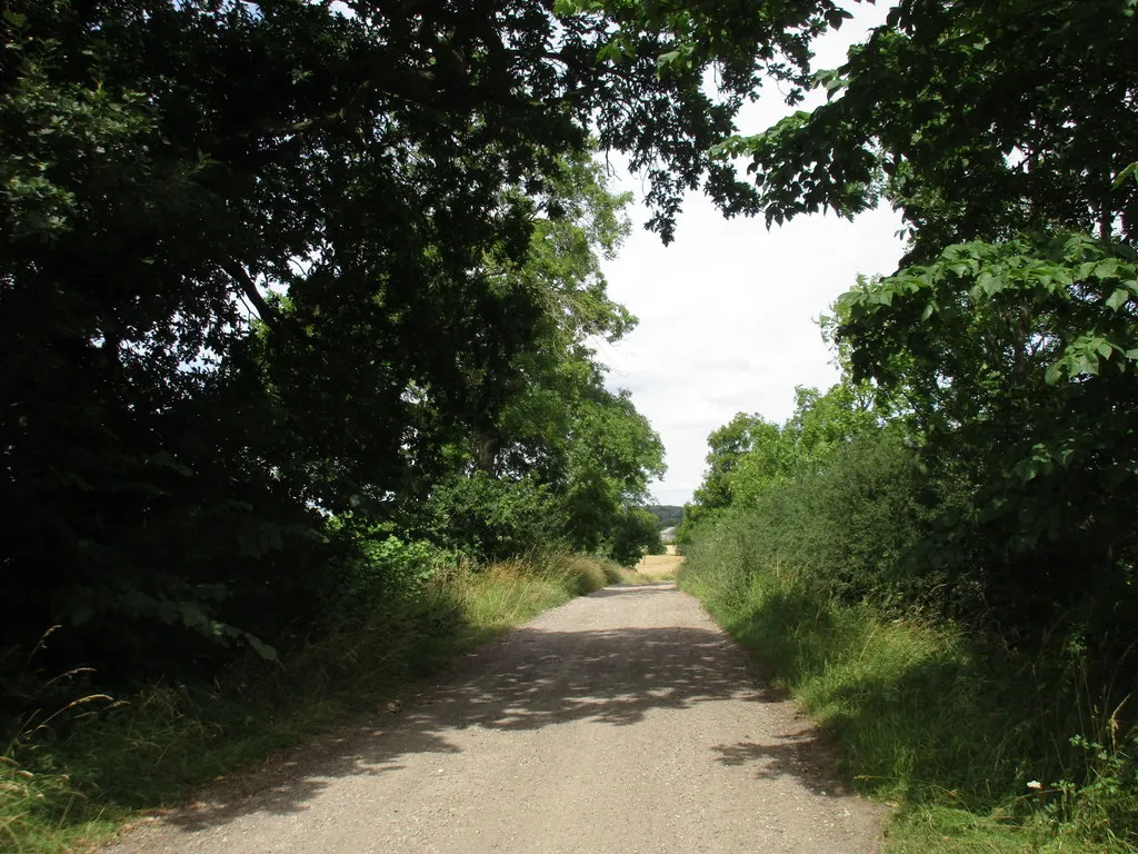 Photo showing: Bridleway to Rotherham Baulk