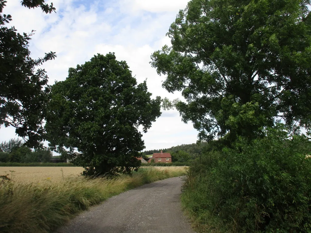 Photo showing: Bridleway and Buckwood Farm