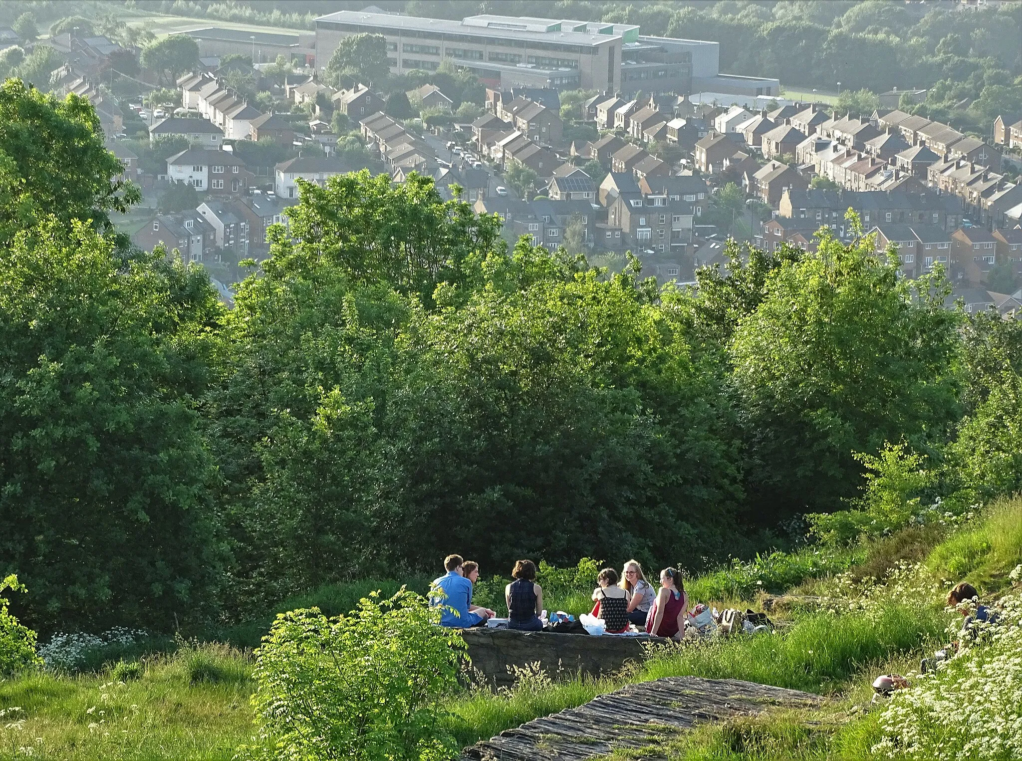 Photo showing: Chilling out on The Bole Hills at Crookes