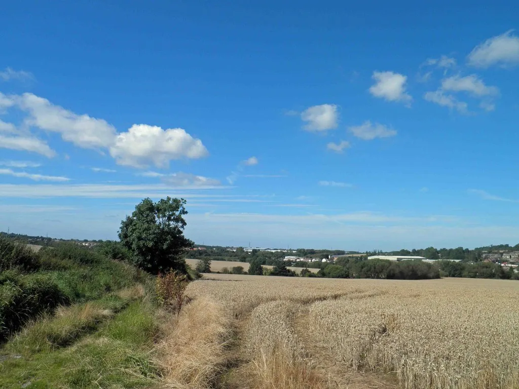 Photo showing: A somewhat overgrown Back Lane, Hooton Levitt, Rotherham