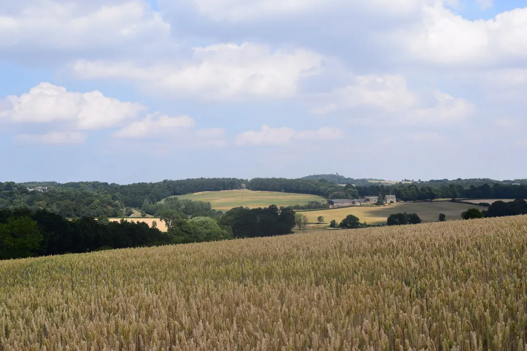 Photo showing: Arable farmland on Low Common