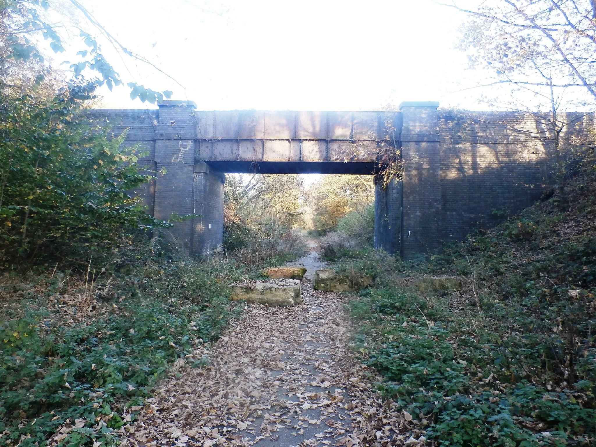 Photo showing: Bridge Over Disused Railway Line