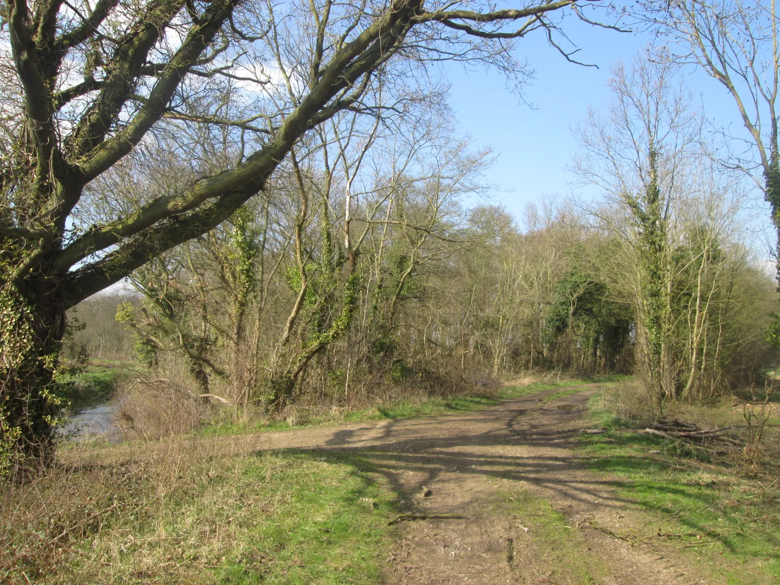 Photo showing: Bridleway at Mattersey Wood