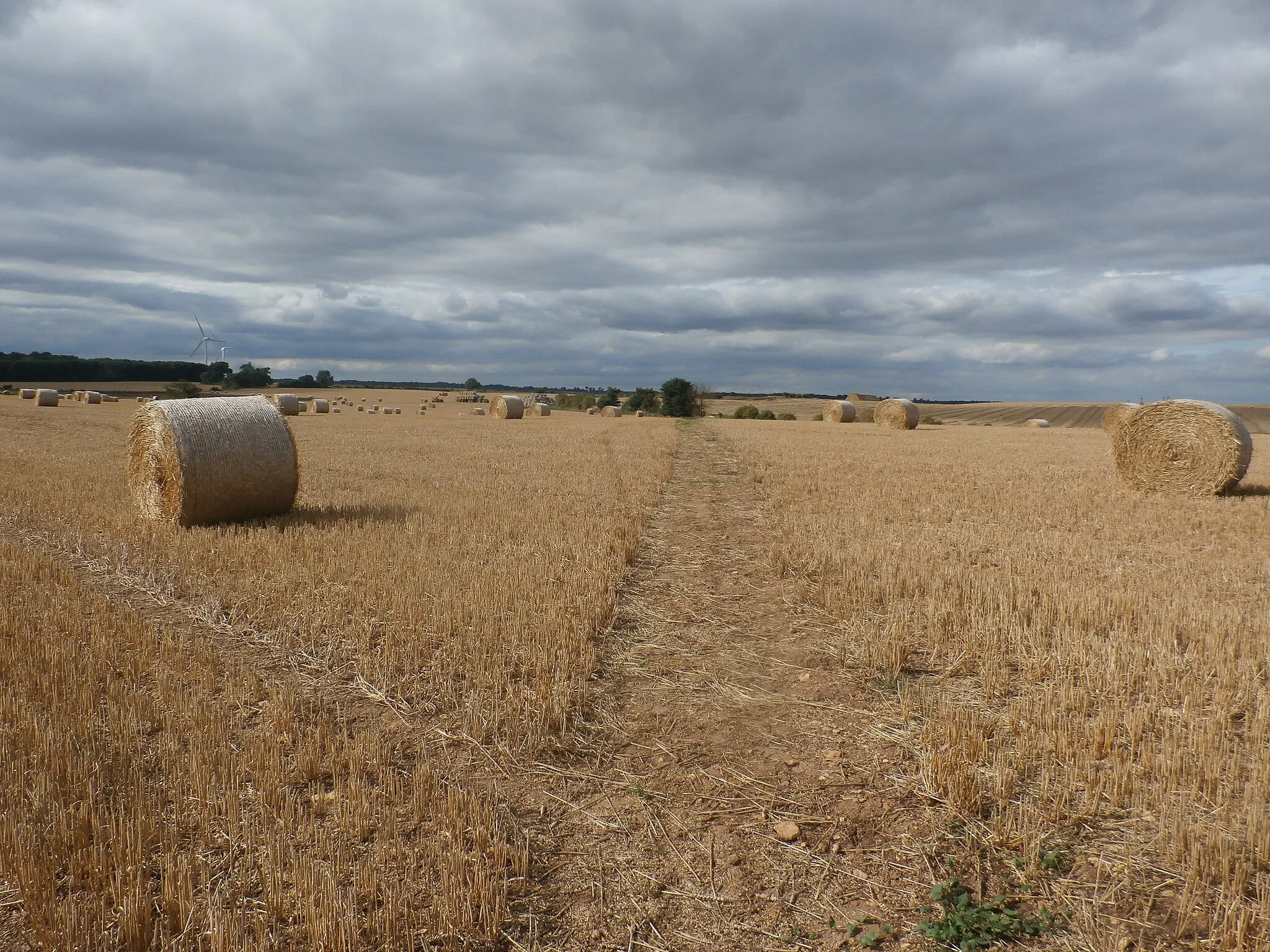 Photo showing: Bridleway and Bales