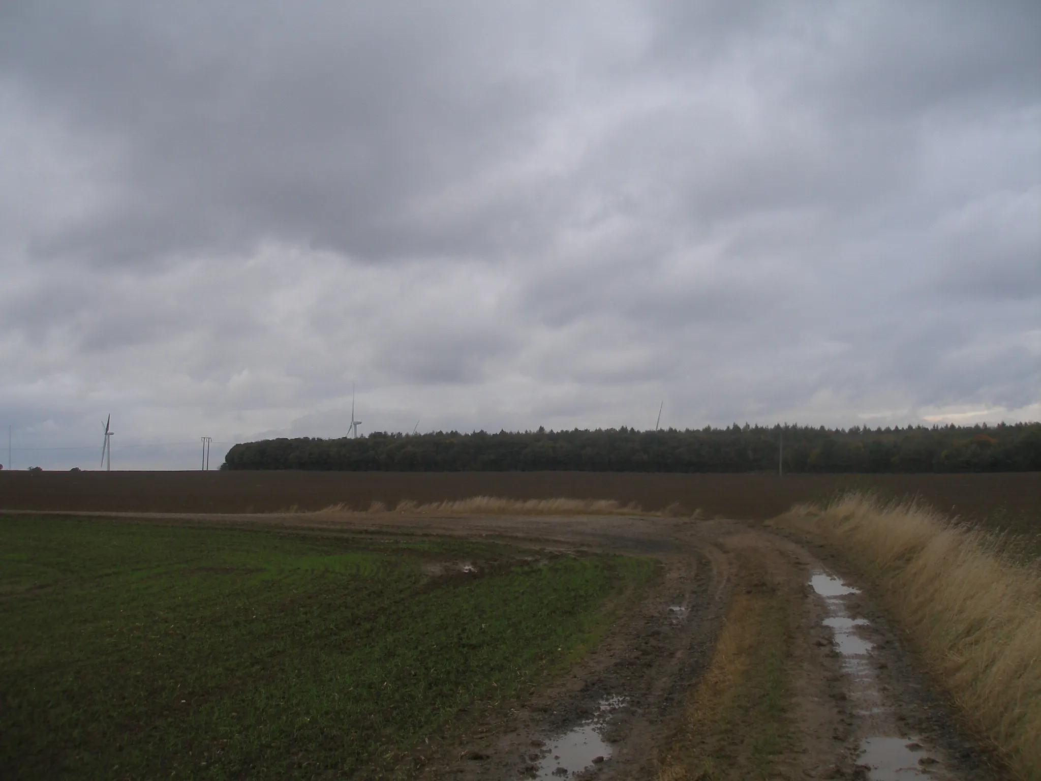 Photo showing: Bridleway junction north of High Melton